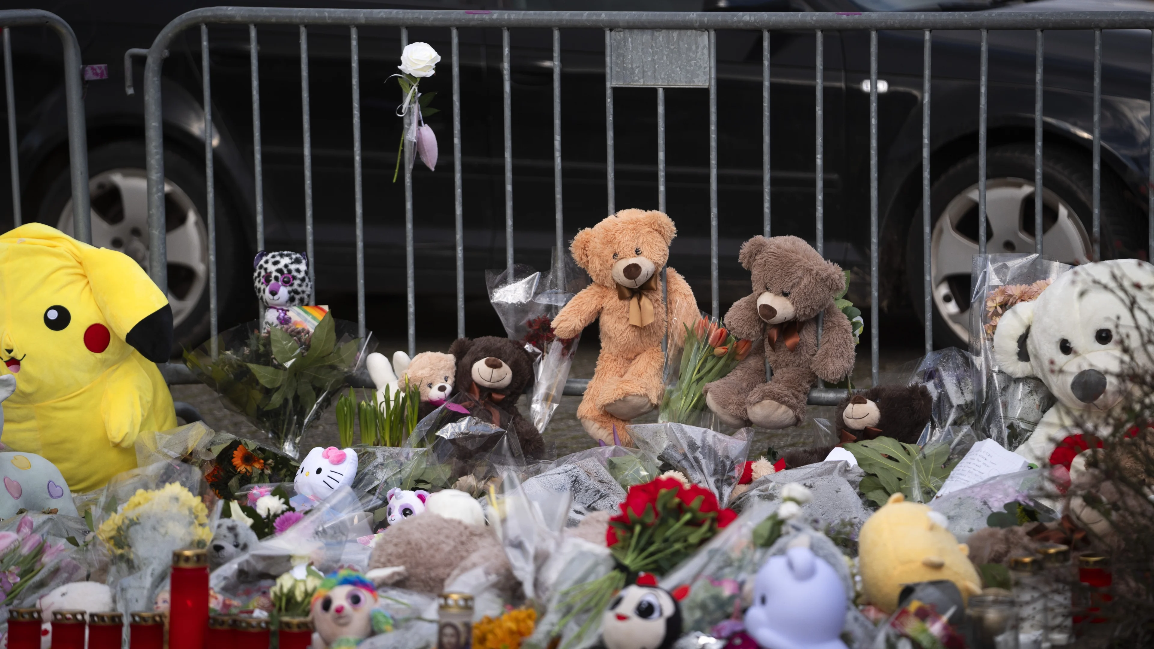 Nieuwegein extra kritisch op meldingen na doodsteken Sohani (11)