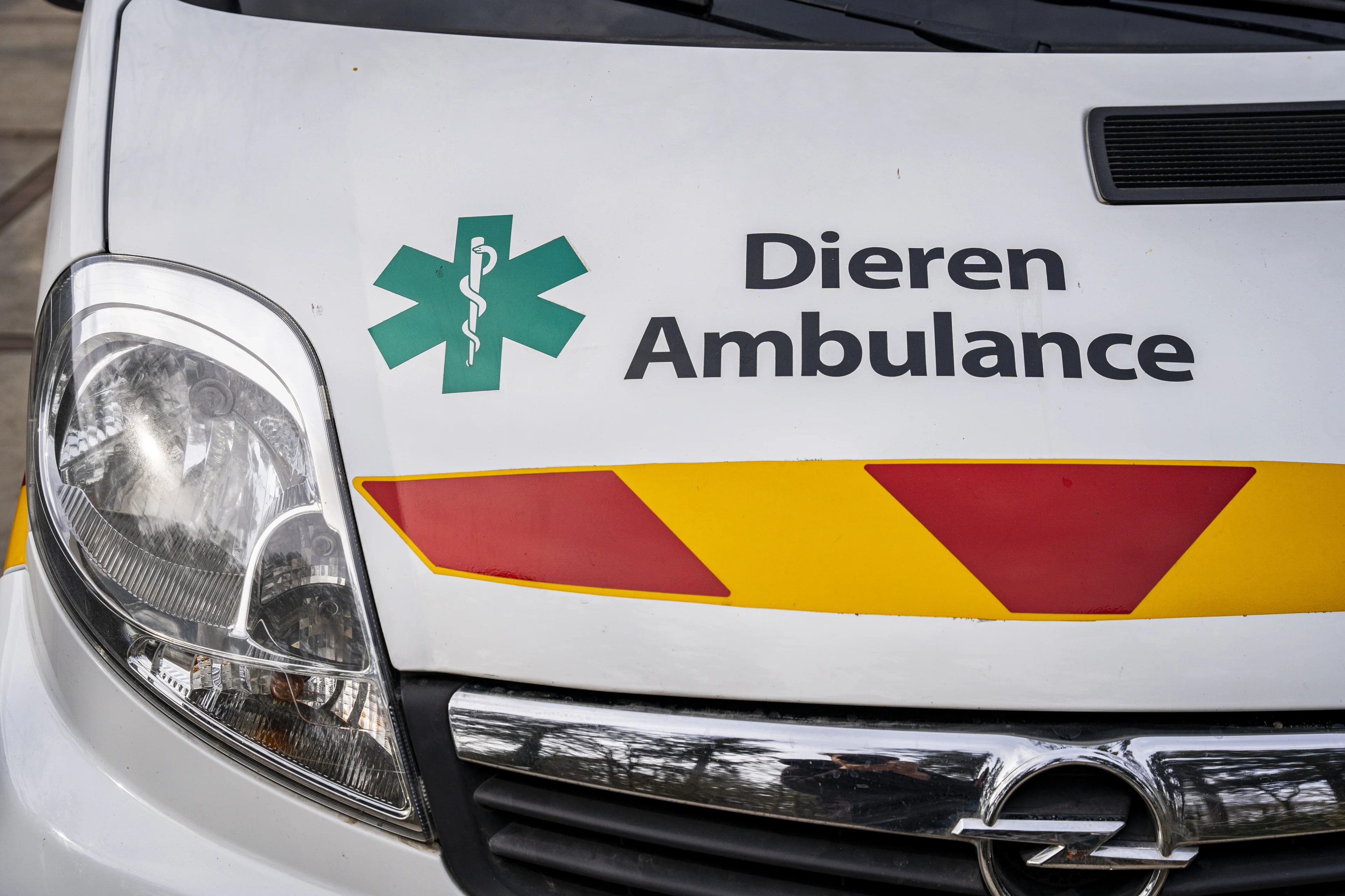 Dierenambulances worstelen met vrijwilligerstekort: 'Het is alle hens aan dek'