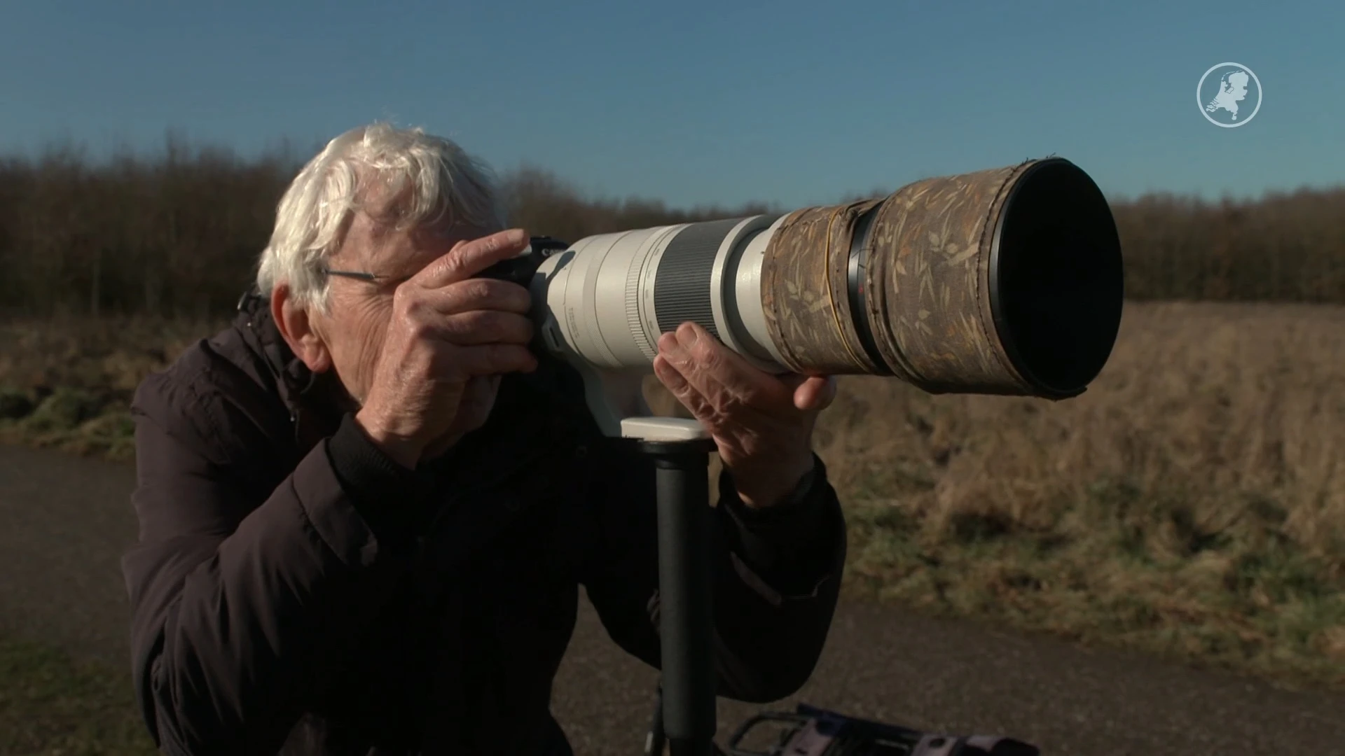 Zeldzame pestvogel duikt op in Nederland: vogelaars in de rij