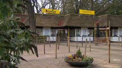 Dierenorganisaties doen aangifte om doodschieten chimpansees Mike en Karibuna