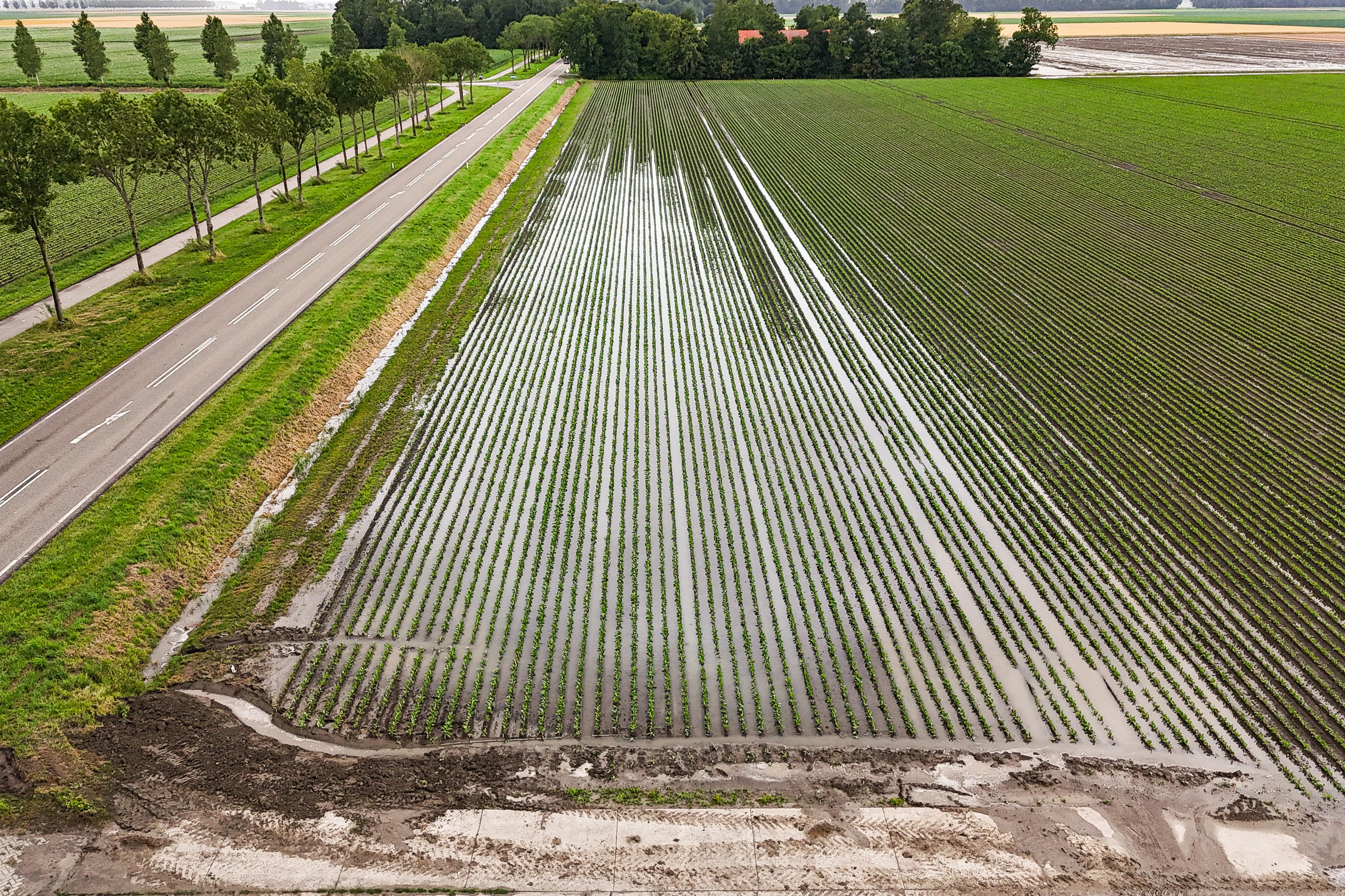 ZIEN: Akkers ondergelopen door zware regenval in Noordoostpolder
