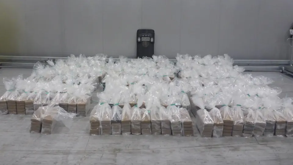 Rotterdamse Douane vindt 2020 kilo cocaïne in container met bananen