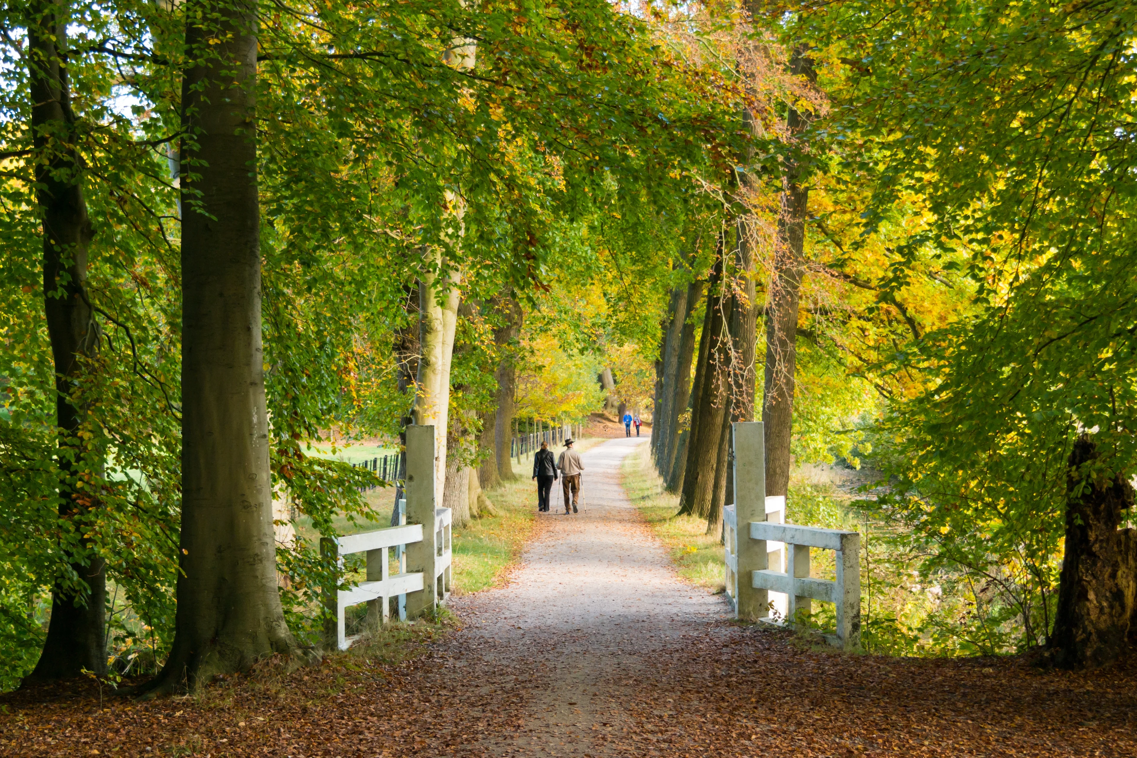 Warme nazomerdag voor de boeg: temperaturen tot 23 graden