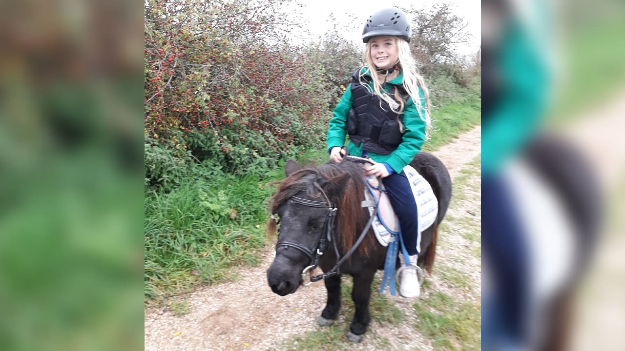 Pony Brenda niet blij met 'logeer-wei', loopt kilometers terug naar huis
