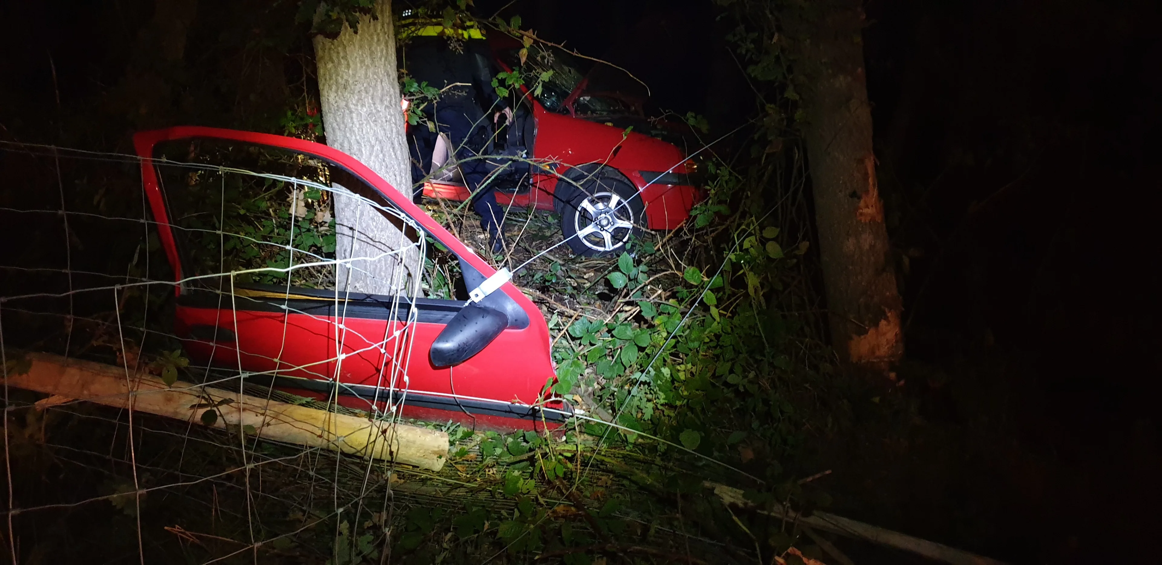 Automobilist (33) uit Almelo komt om bij eenzijdig ongeval