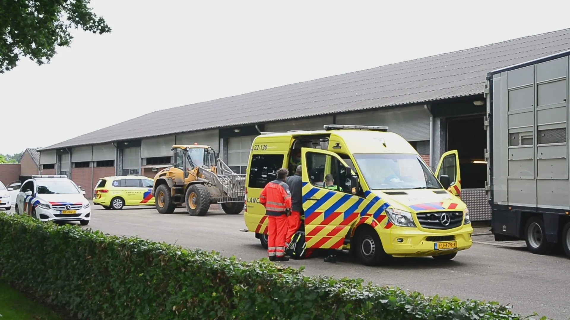 Man wordt geplet door koe op boerderij Deurne en raakt zwaargewond