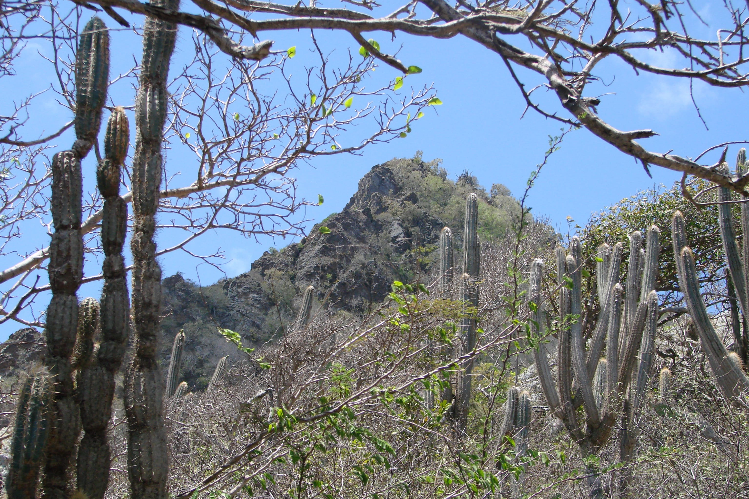 Lichaam van vermiste Daniel (45) vermoedelijk gevonden op Curaçao
