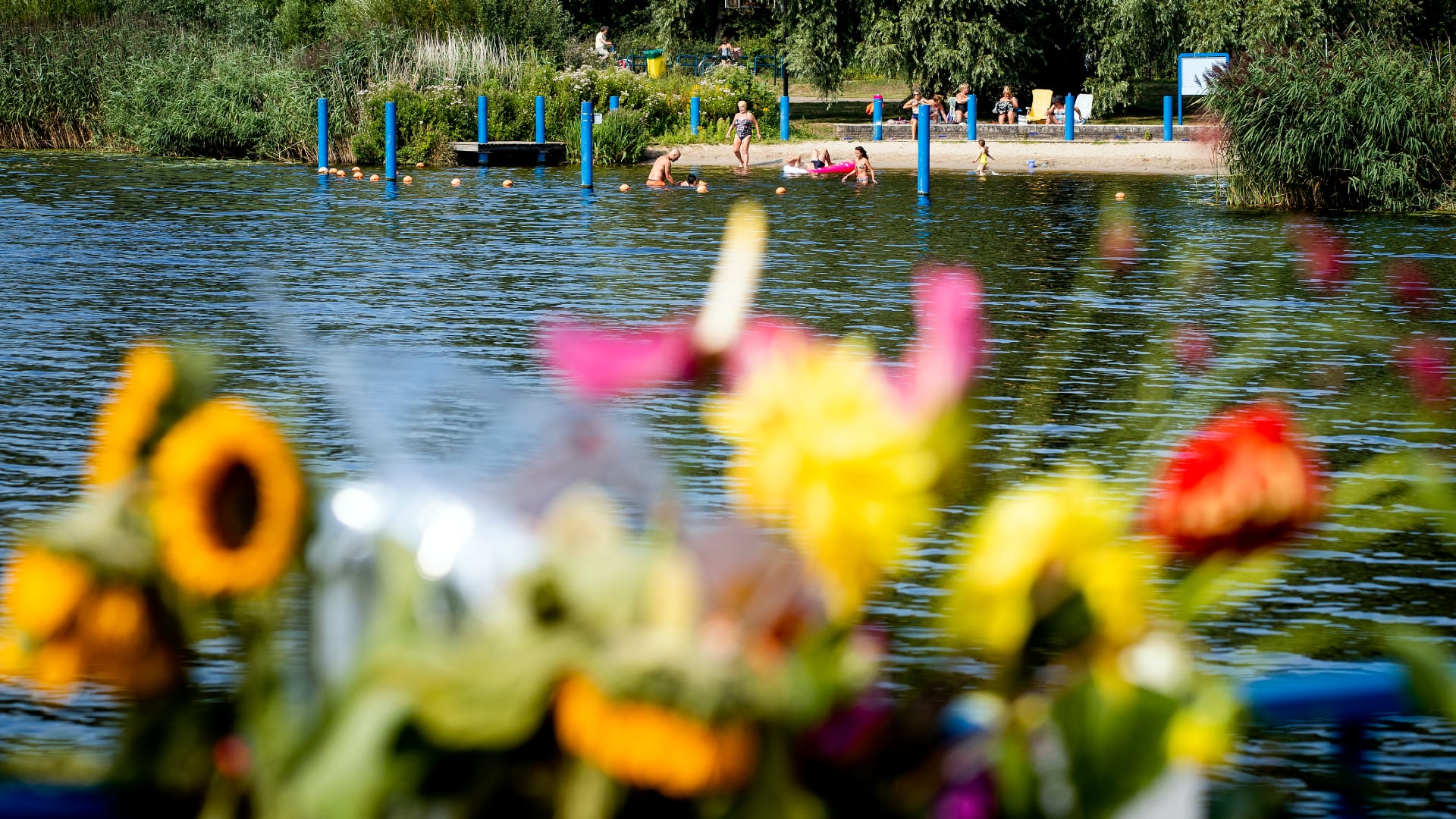 Bijeenkomst voor getuigen moord op Bas van Wijk (24) gaat niet door