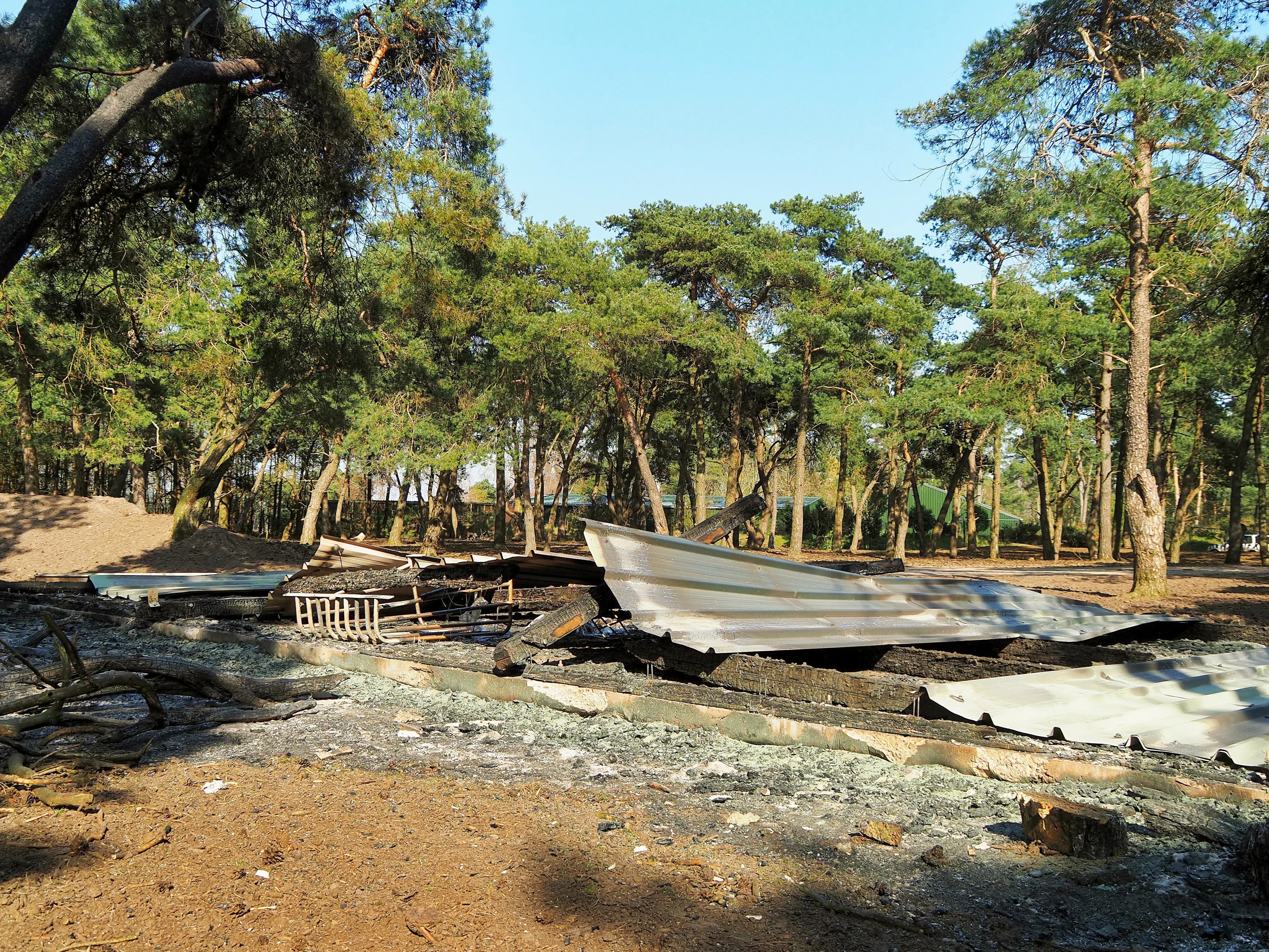 Rechtszaak over fatale brandstichting in safaripark Beekse Bergen van start