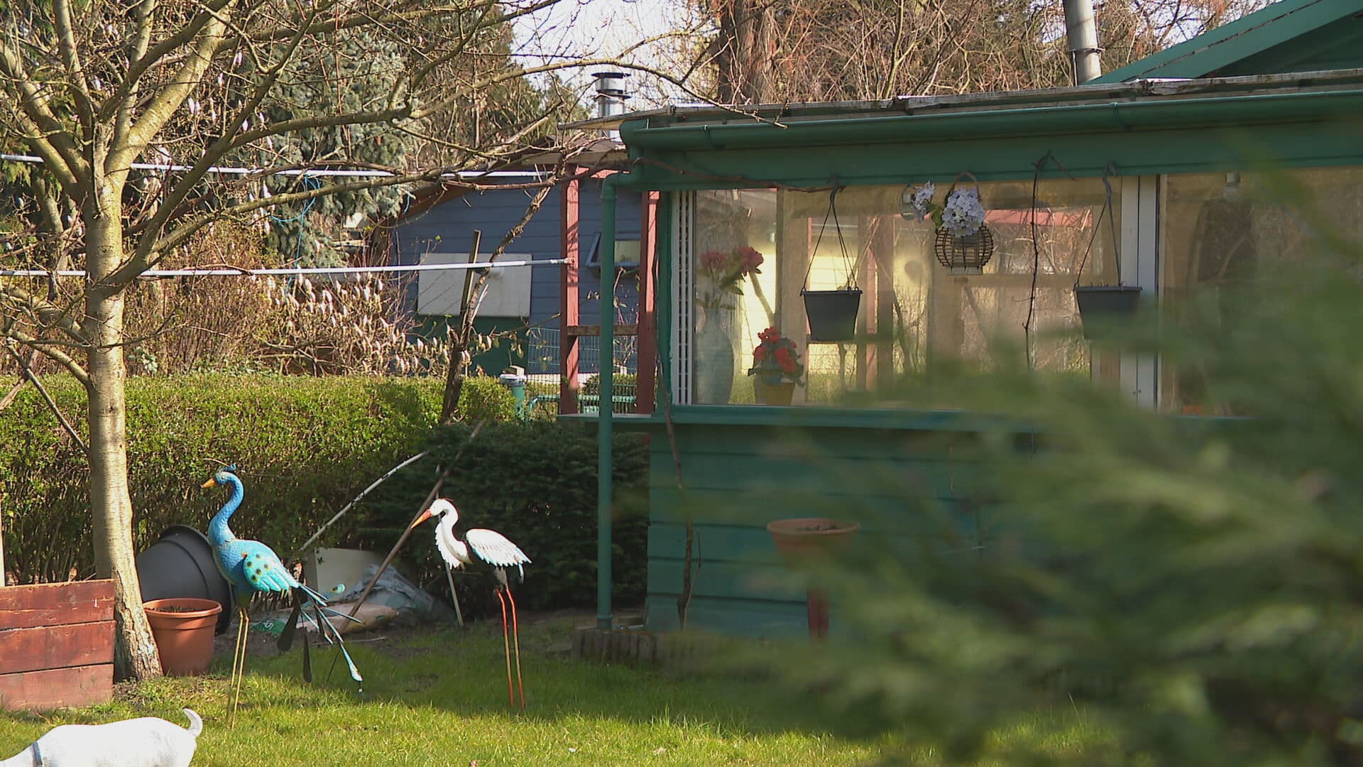 Buiten versus binnen: moeten volkstuinen plaatsmaken voor woningbouw?