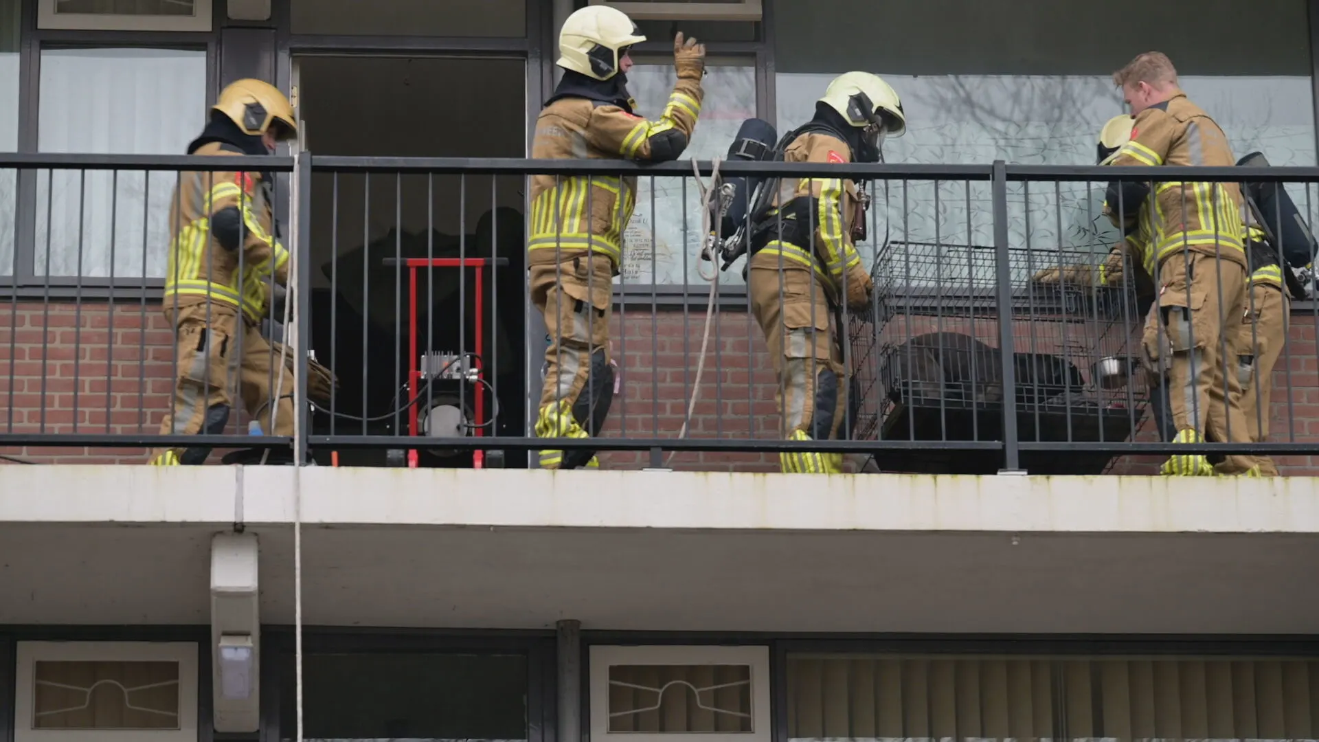 Hond moederziel alleen vast in brandend huis in Tilburg