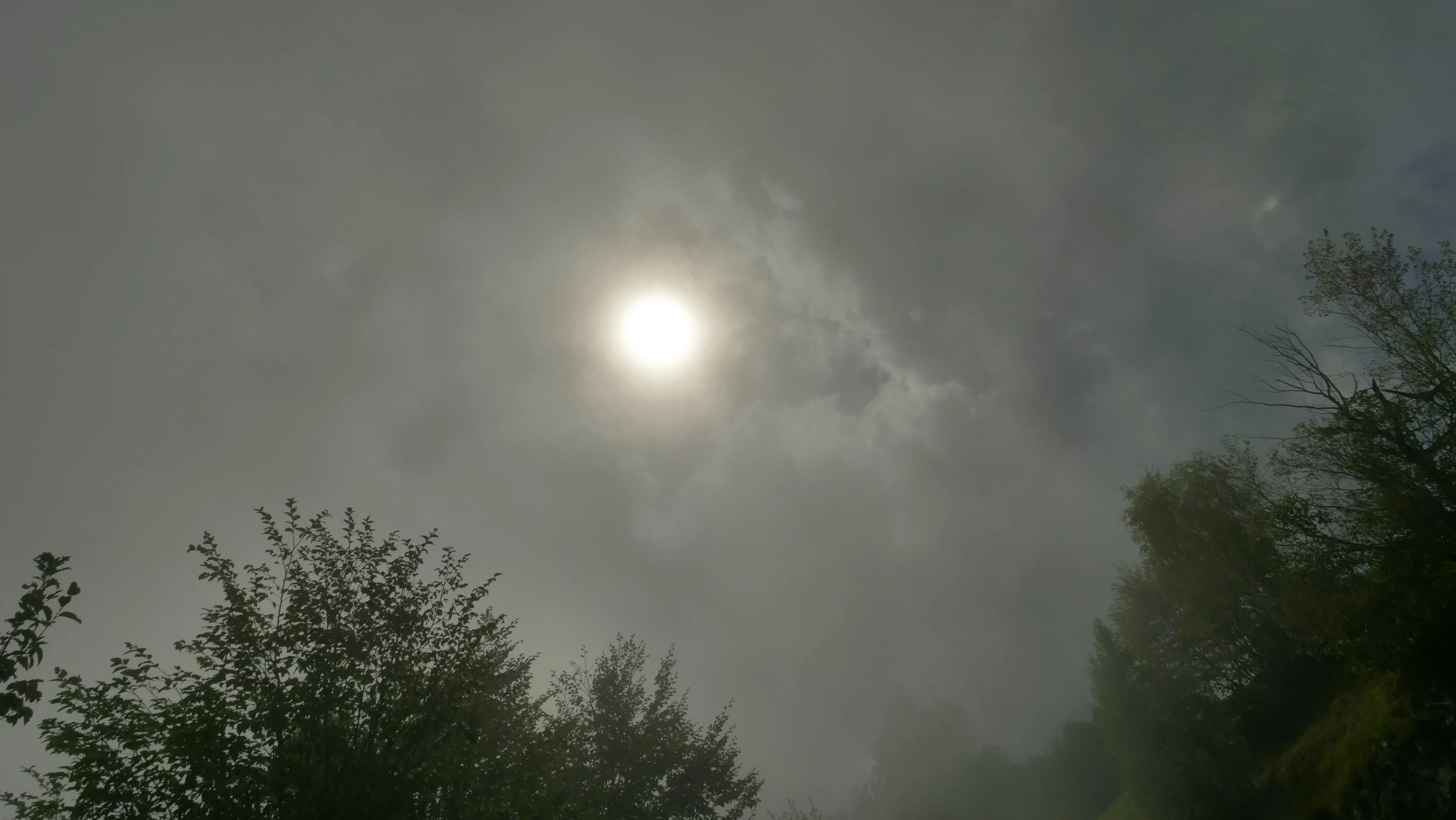 Pas op: waarschuwing voor smog in dit deel van het land