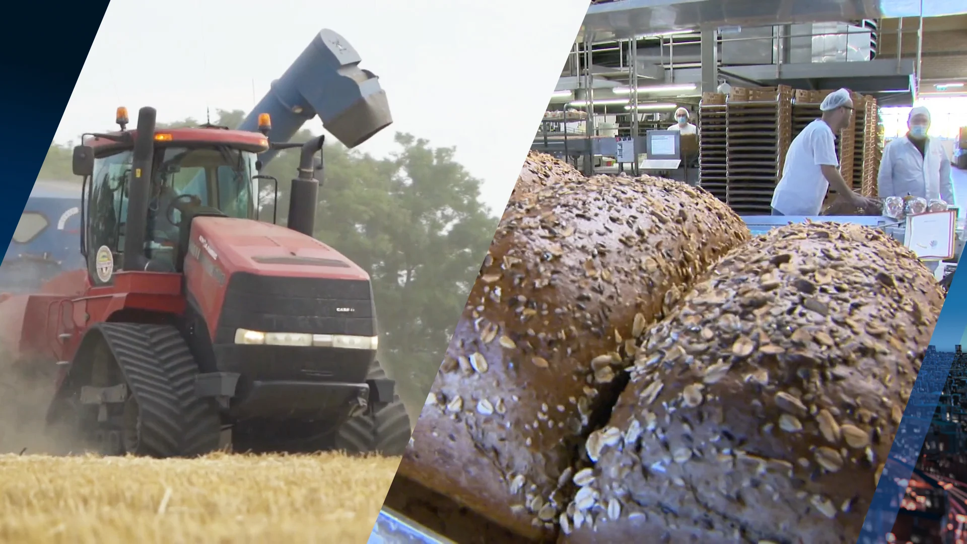 Rijzen na gas en brandstof nu ook de broodprijzen de pan uit?
