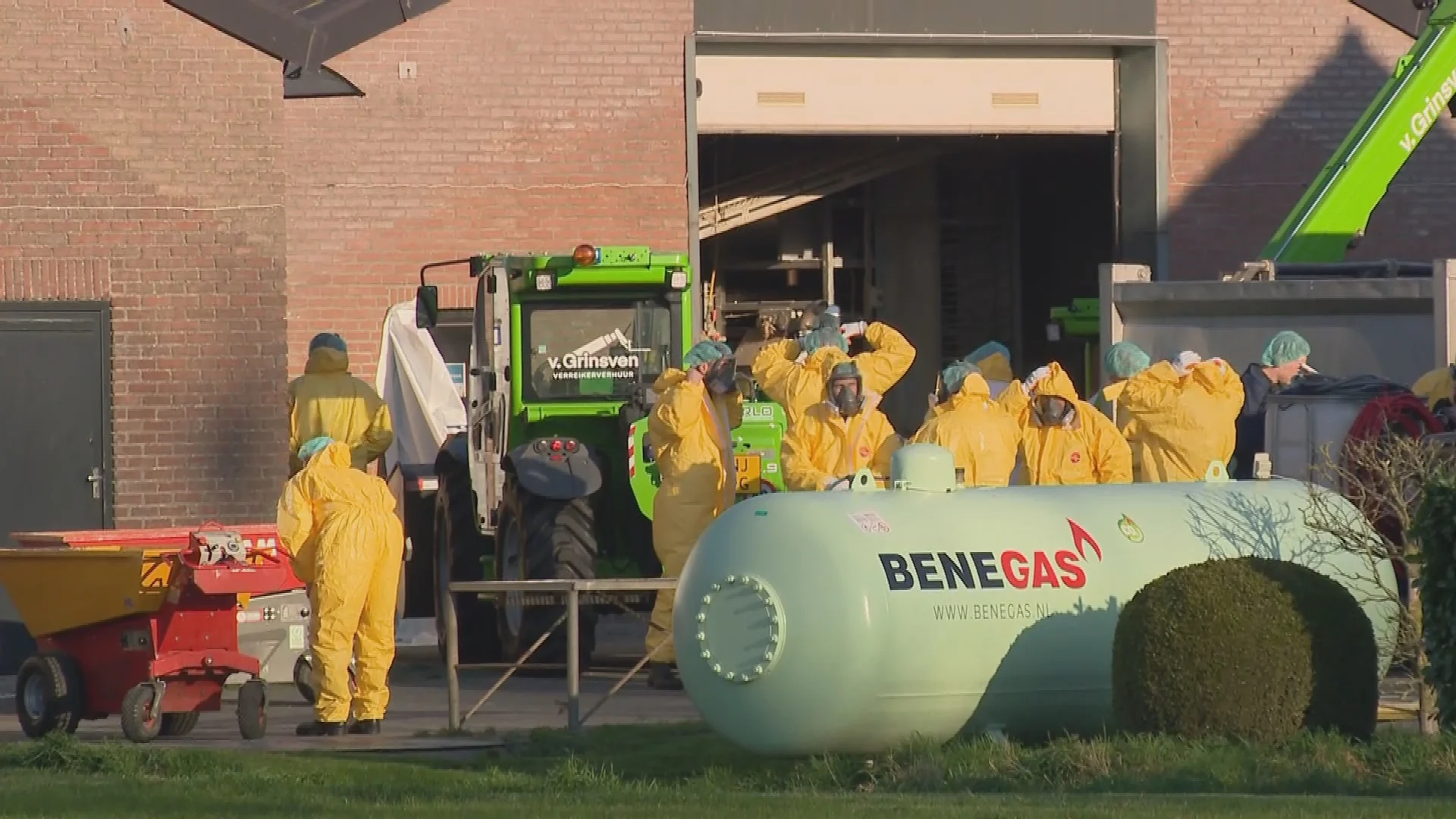 Vogelgriep vastgesteld op leghennenbedrijf in Veulen, bijna 100.000 dieren geruimd