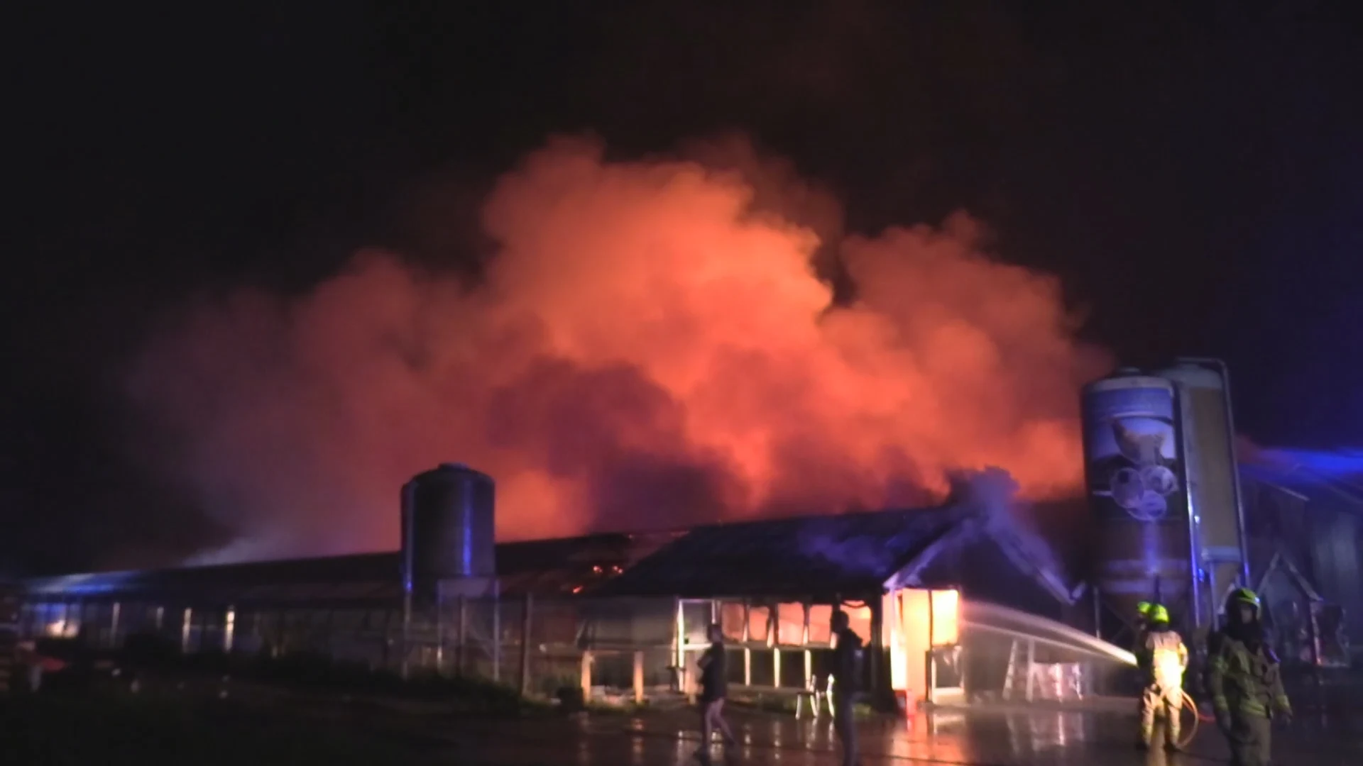 Grote brand verwoest kippenschuren in Barneveld