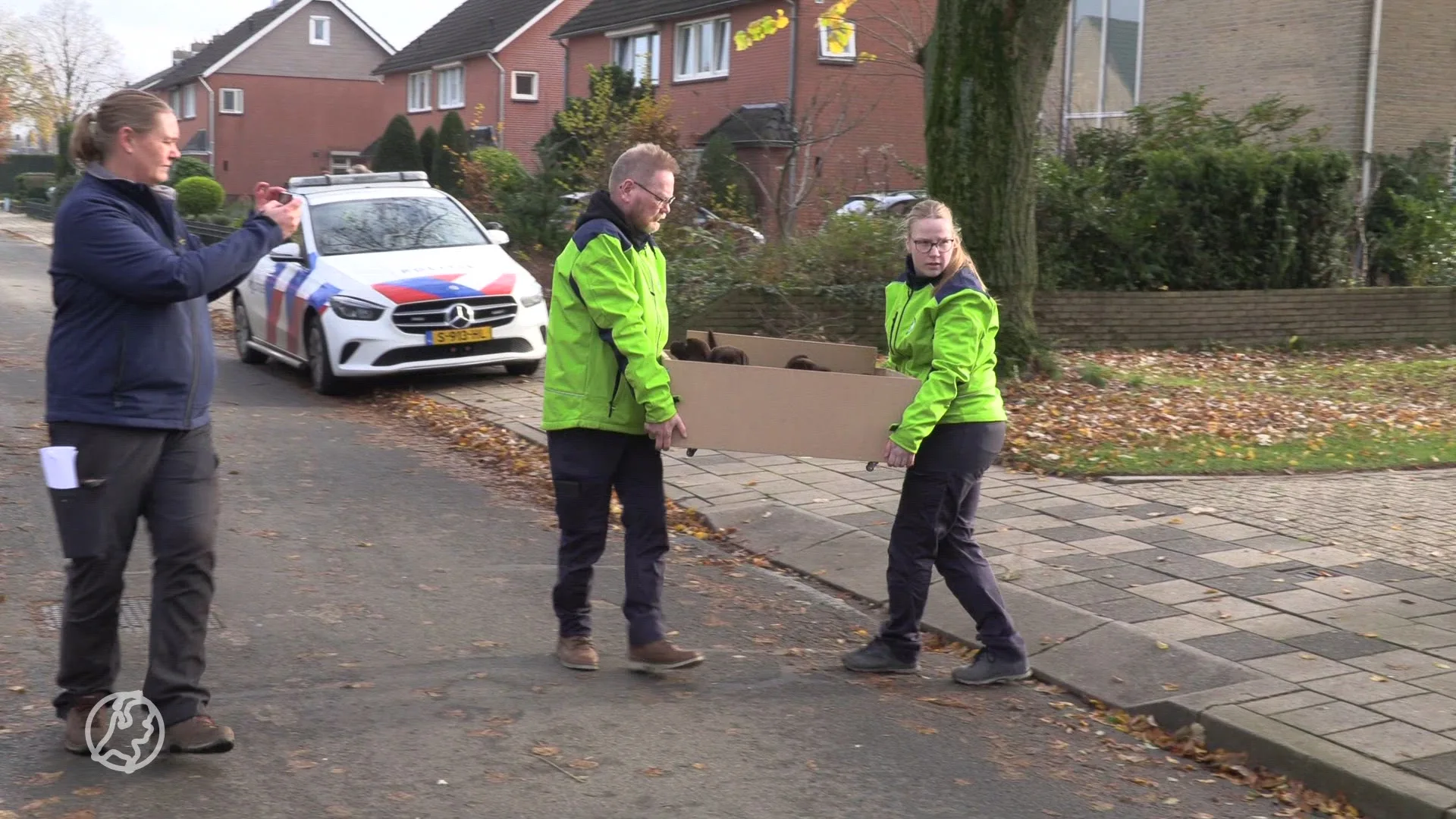 Politie haalt 23 verwaarloosde honden uit woning in Gelderse Wehl