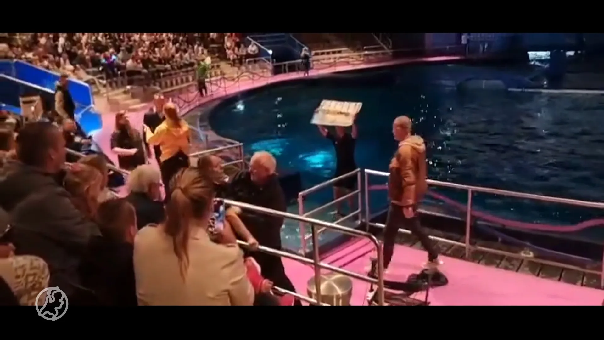 Dierenactivisten in water Dolfinarium tijdens dolfijnenshow