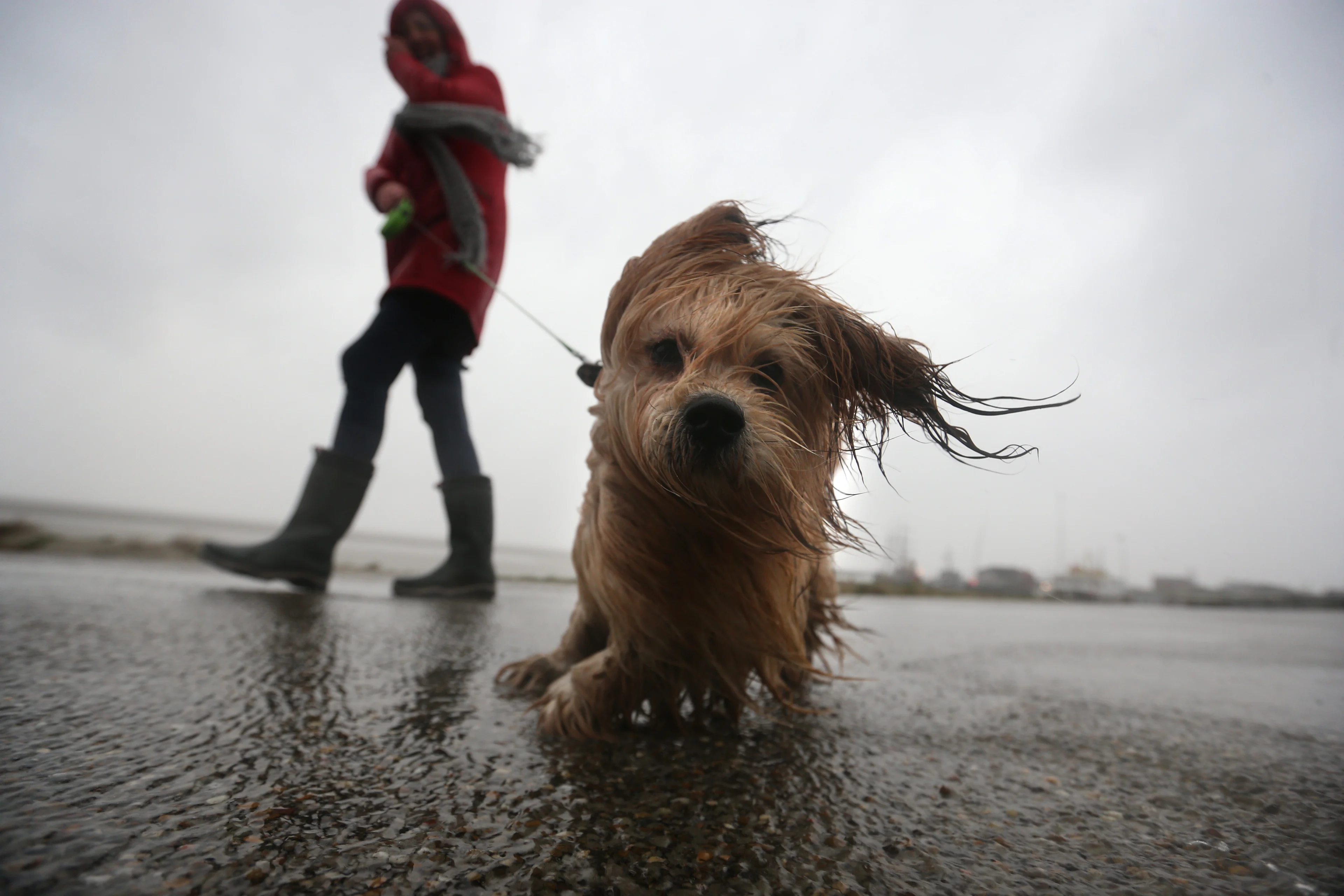 Overlast gehad door storm Ciara? Laat het ons weten