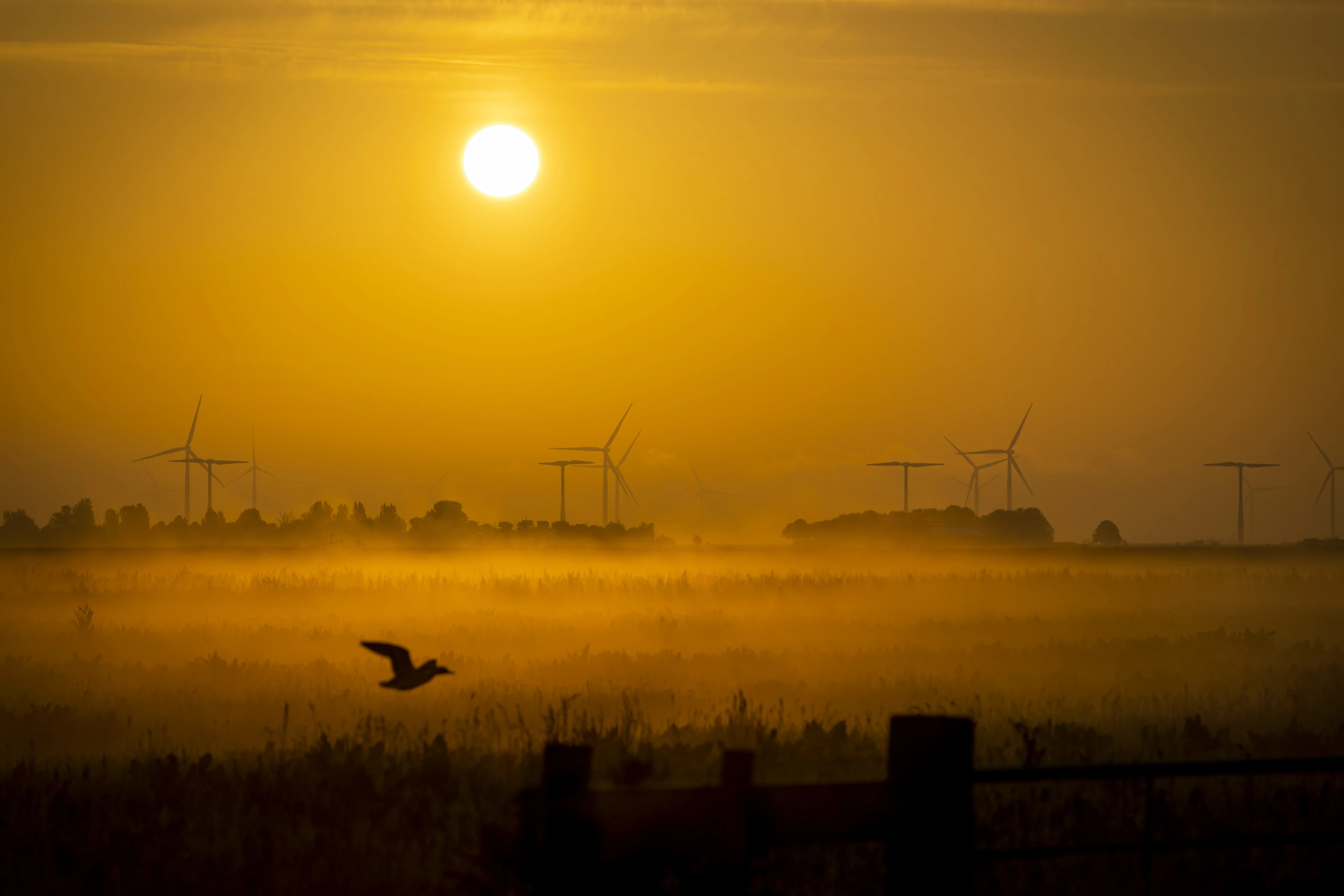 Opnieuw stralend weer, volgende week ook veel zon