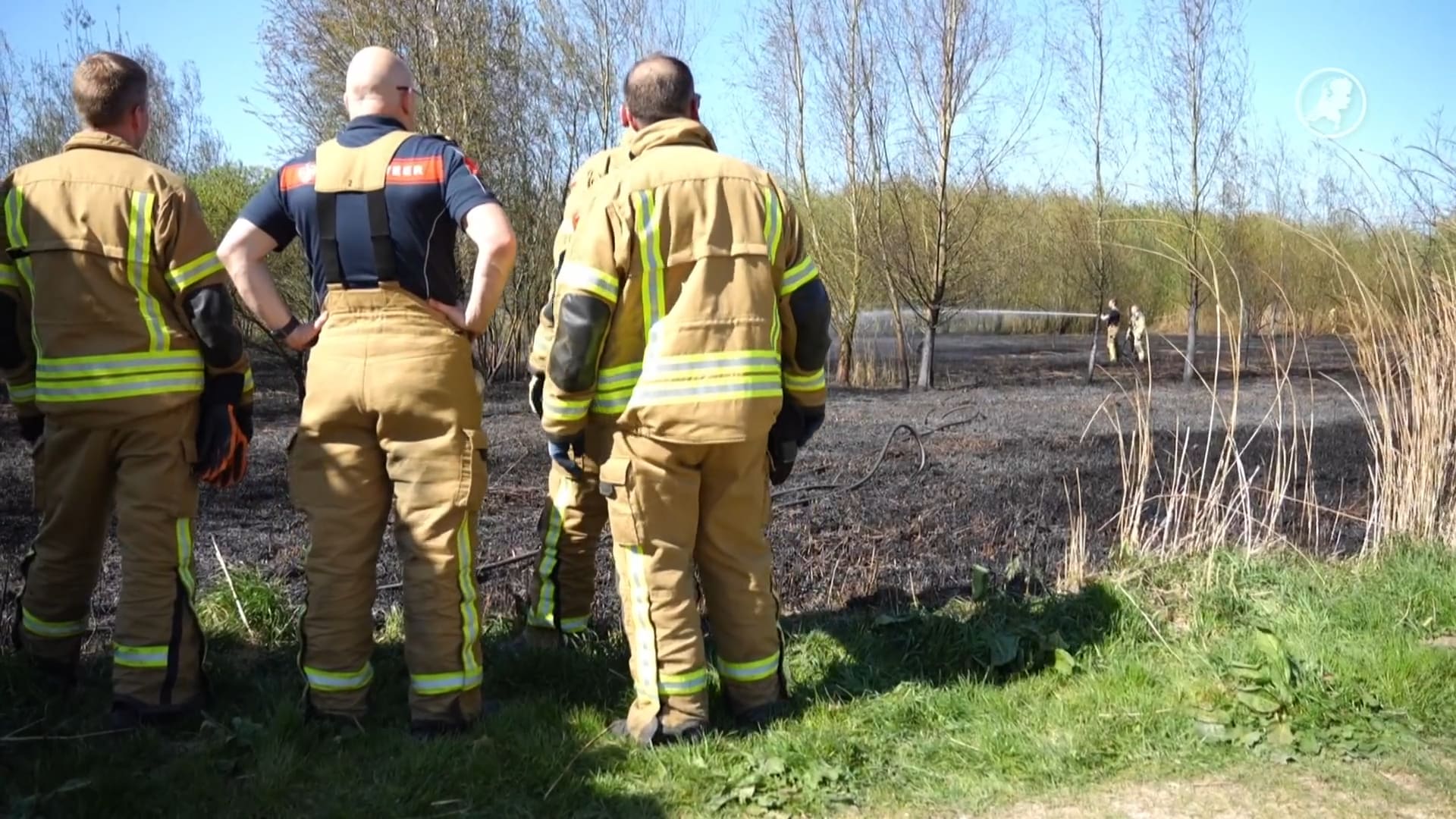 Grote brand in natuurgebied in Ridderkerk, vermoedelijk aangestoken