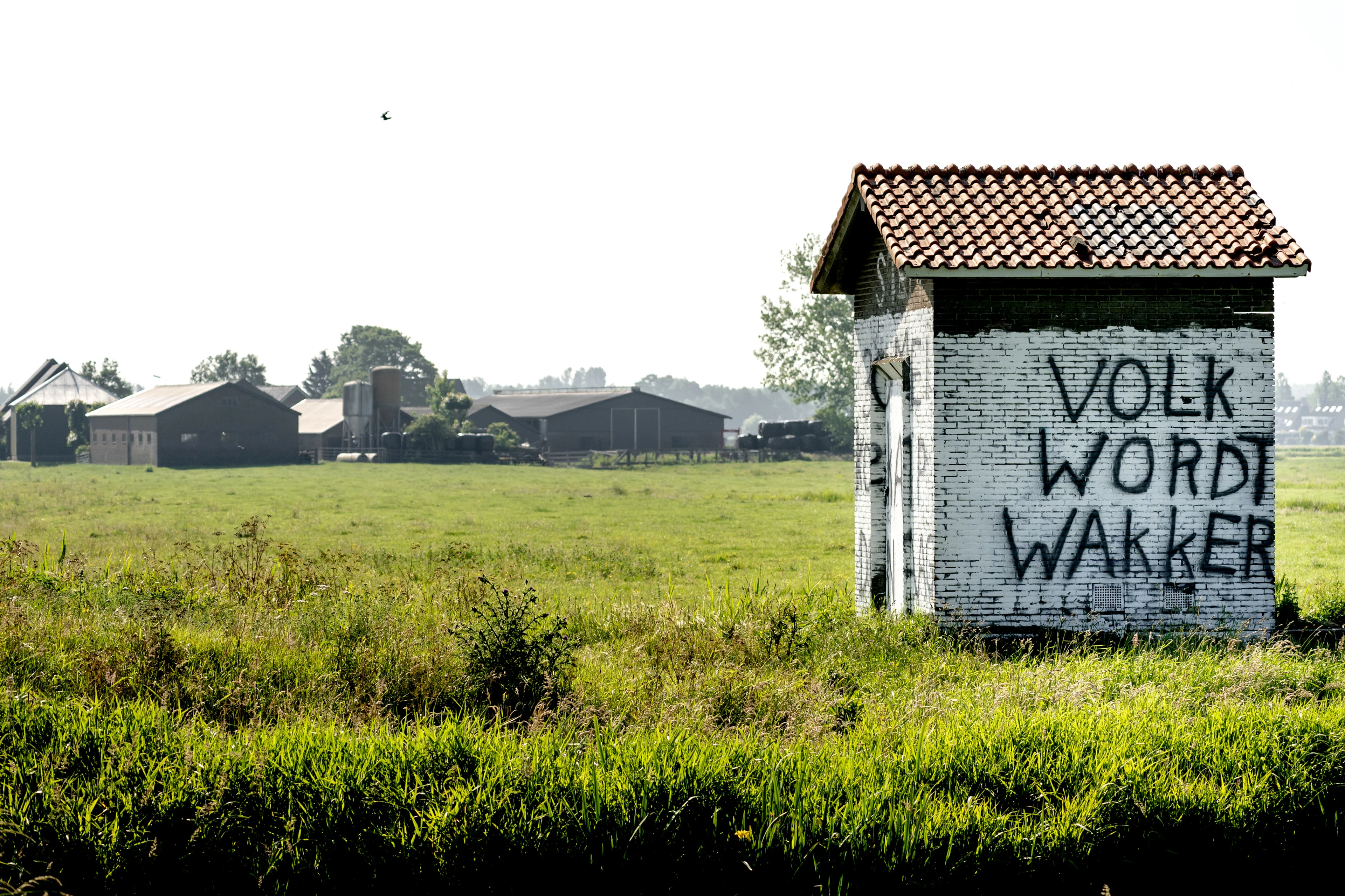 Hoofdofficier van justitie maakt zich zorgen over complotdenkers: 'We moeten waakzaam zijn'
