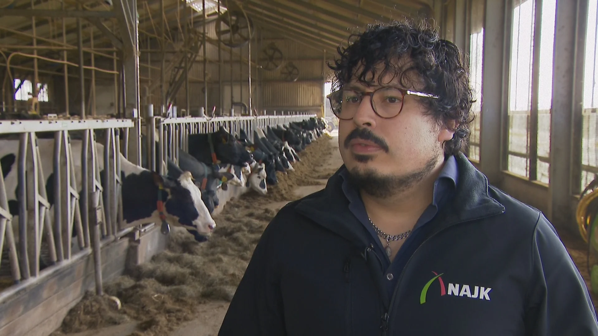 Boeren willen duidelijkheid over stikstof: 'Ik sta met mijn rug tegen de muur'