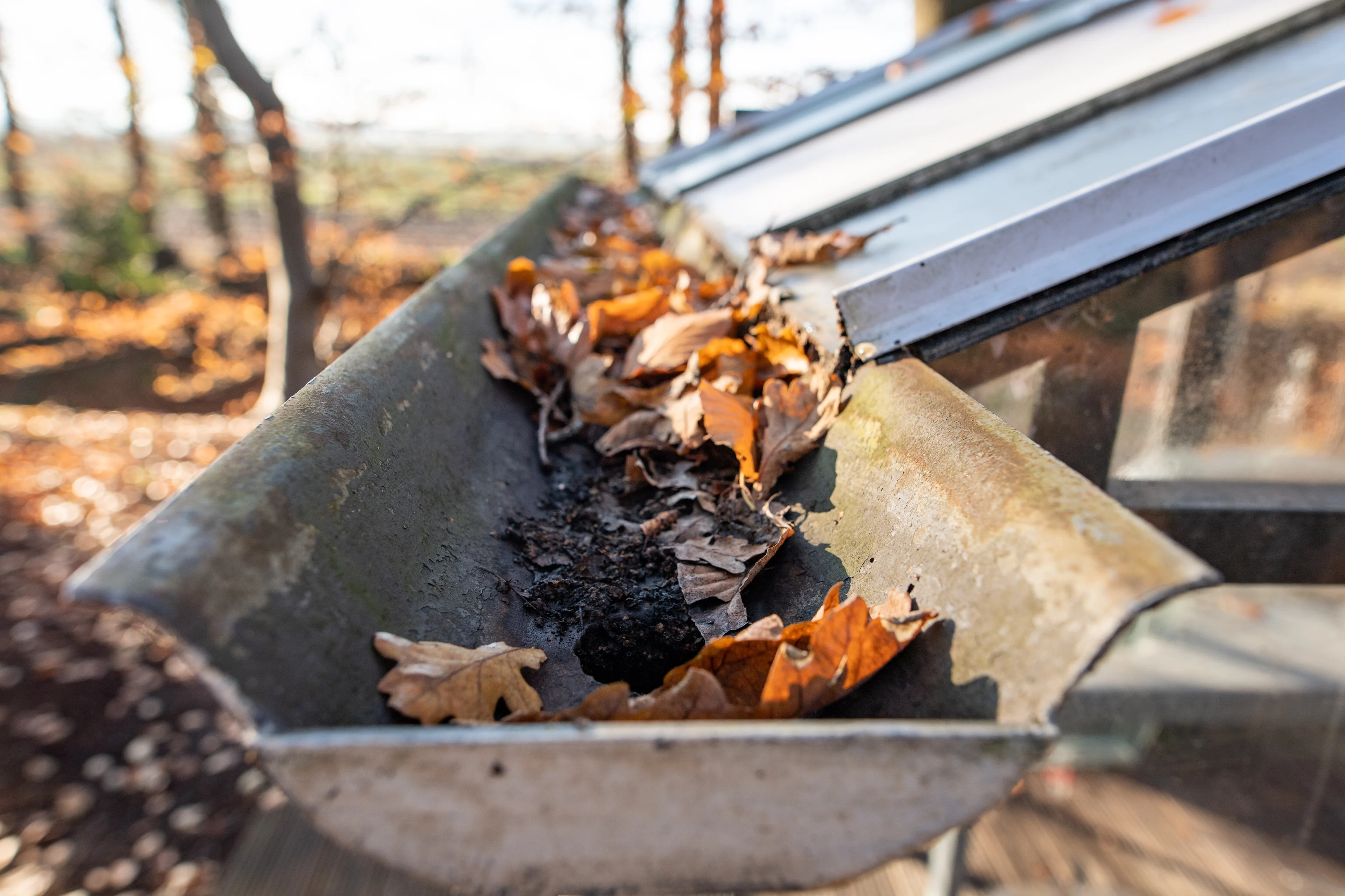 Zo maak je je dakgoten herfstproof en voorkom je duizenden euro's schade