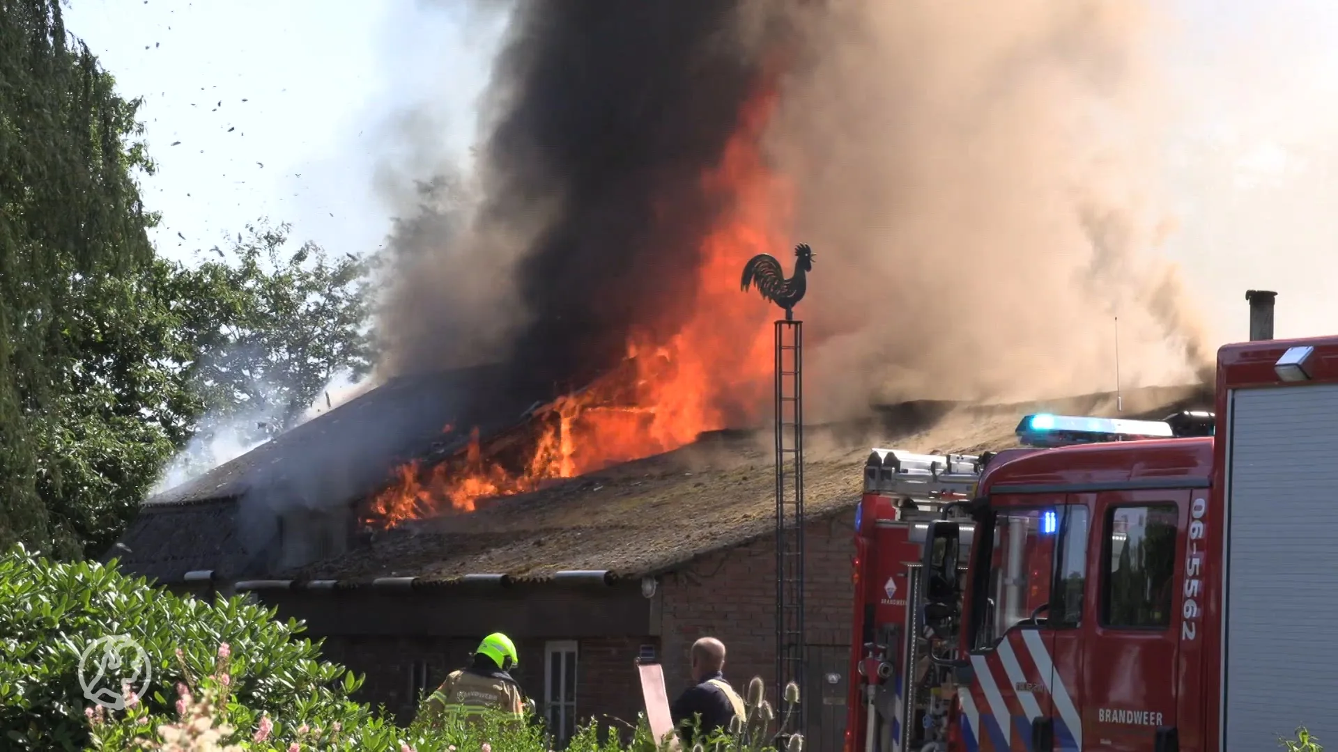 Brandweer redt tientallen kippen tijdens uitslaande brand in Terborg