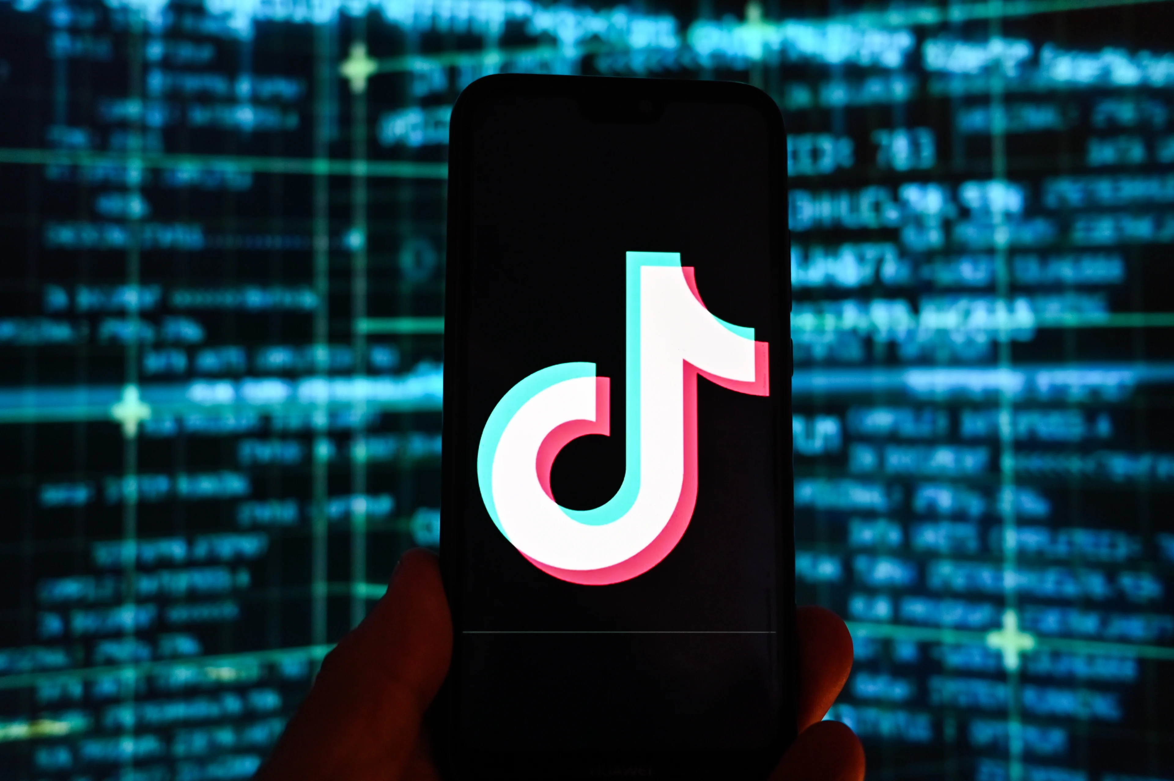 Kamerleden verwijderen TikTok-account om privacyredenen