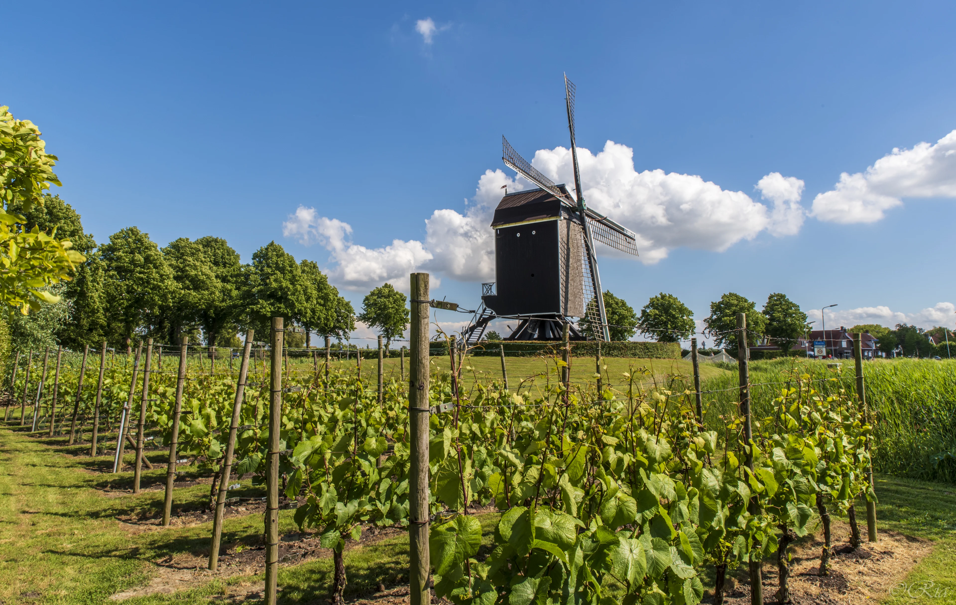 Na regen komt zonneschijn: het mooie lenteweer is terug