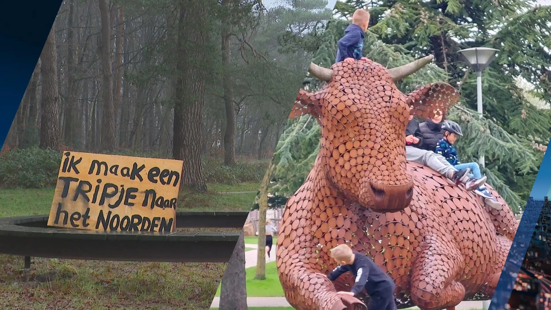 Is het vandalisme? Of een Oudejaarsstunt? Ineens is koe Ahimsa verdwenen