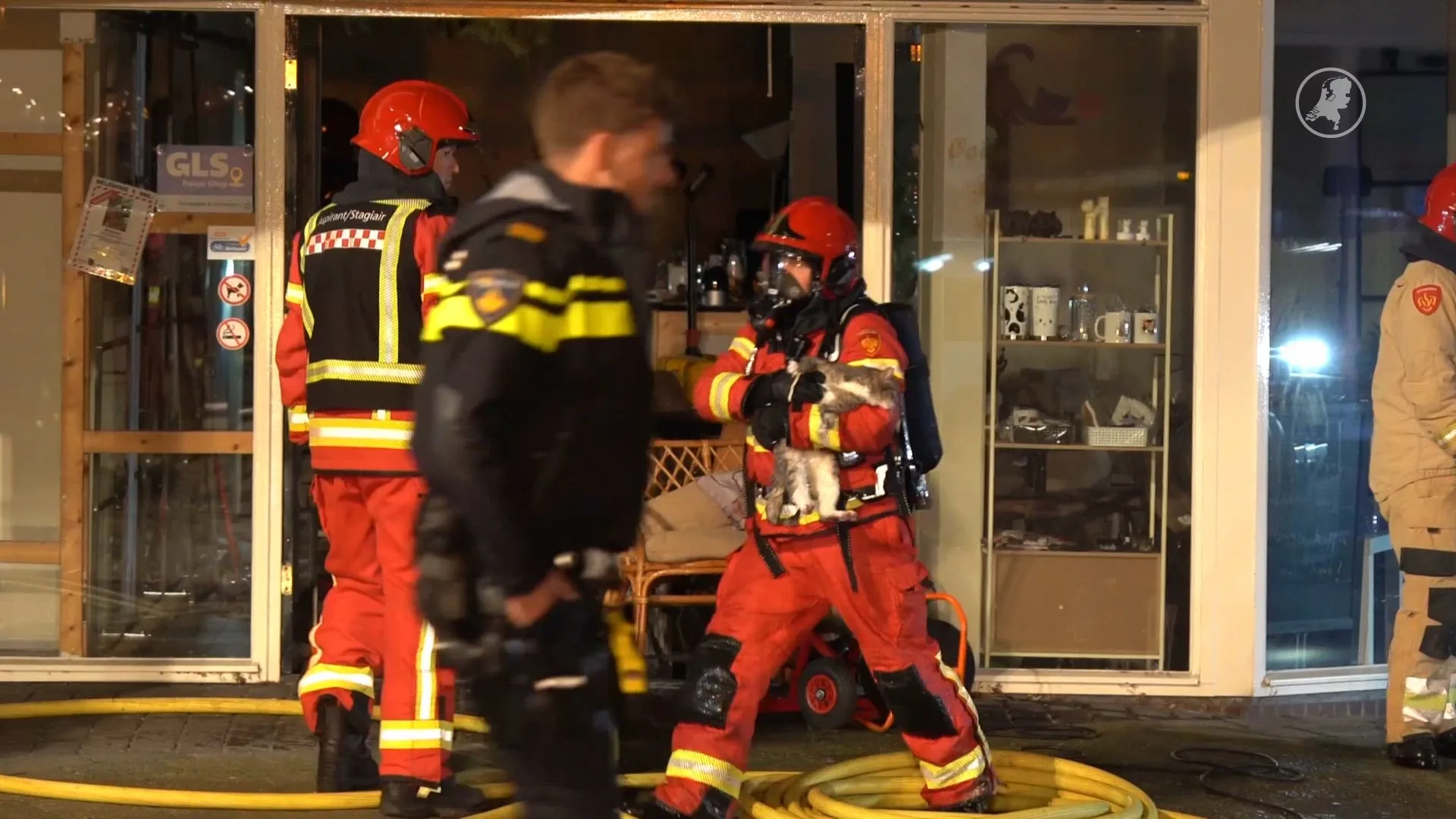 Katten gered uit vlammenzee: kattenhotel zwaar beschadigd