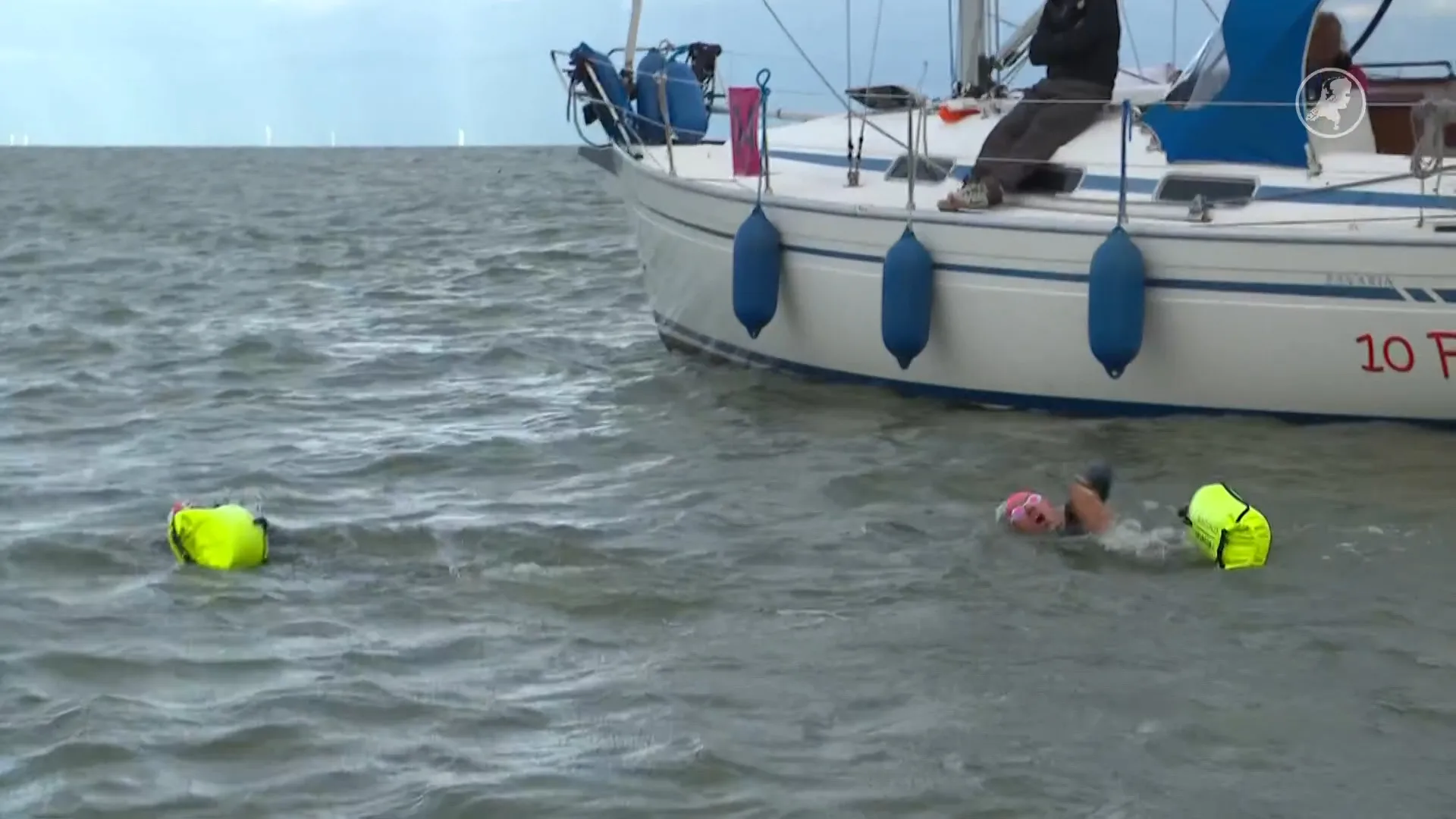 Zwemmers steken IJsselmeer over, zwaarste zwemmarathon van Nederland gestart