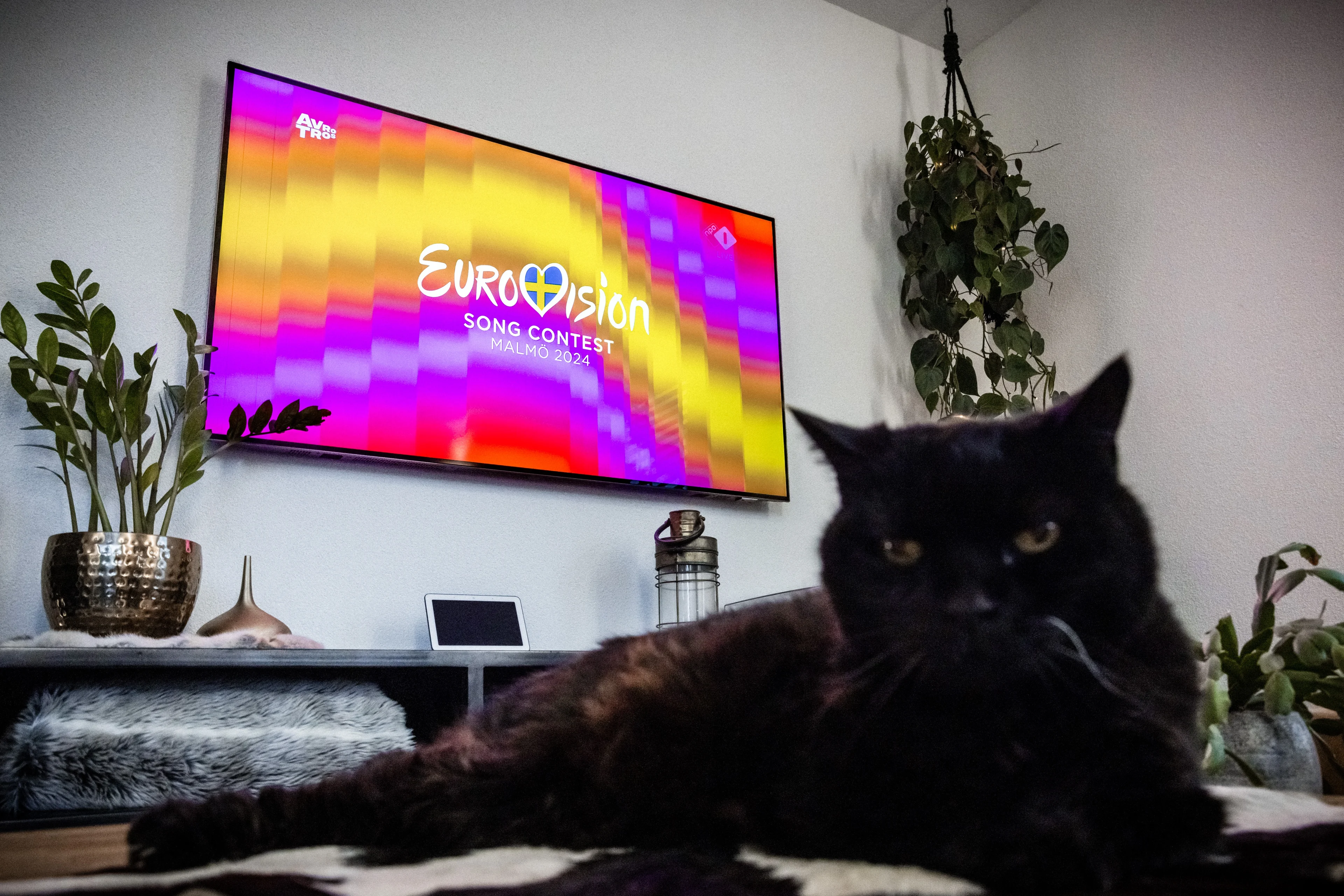 Deze BN'er reikt namens Nederland punten uit tijdens Songfestival