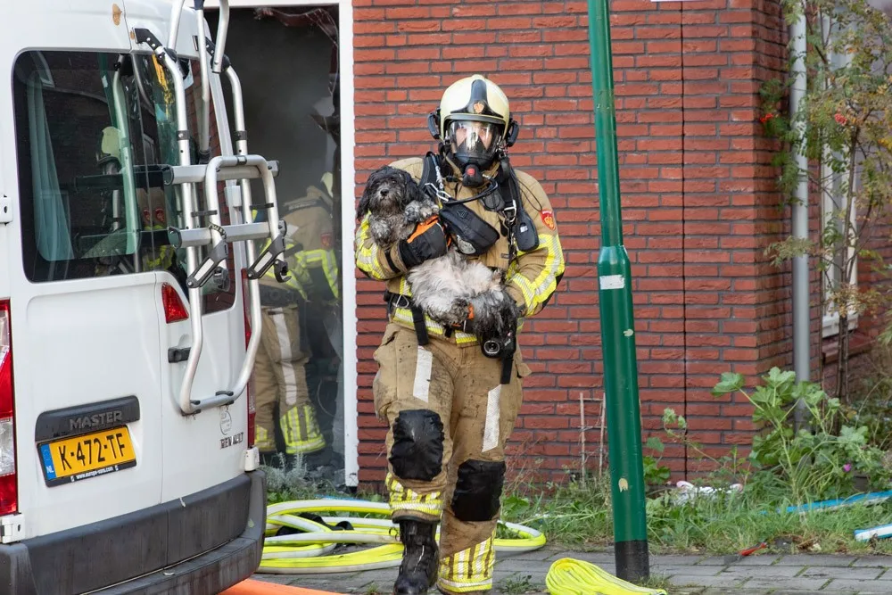 Drie honden gered bij woningbrand in Baarn, bewoonster gewond