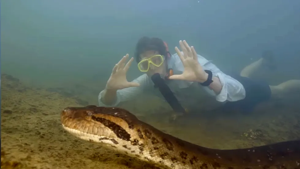 Freek Vonk ontdekt nieuwe gigantische slang: 'Zo dik als een autoband'