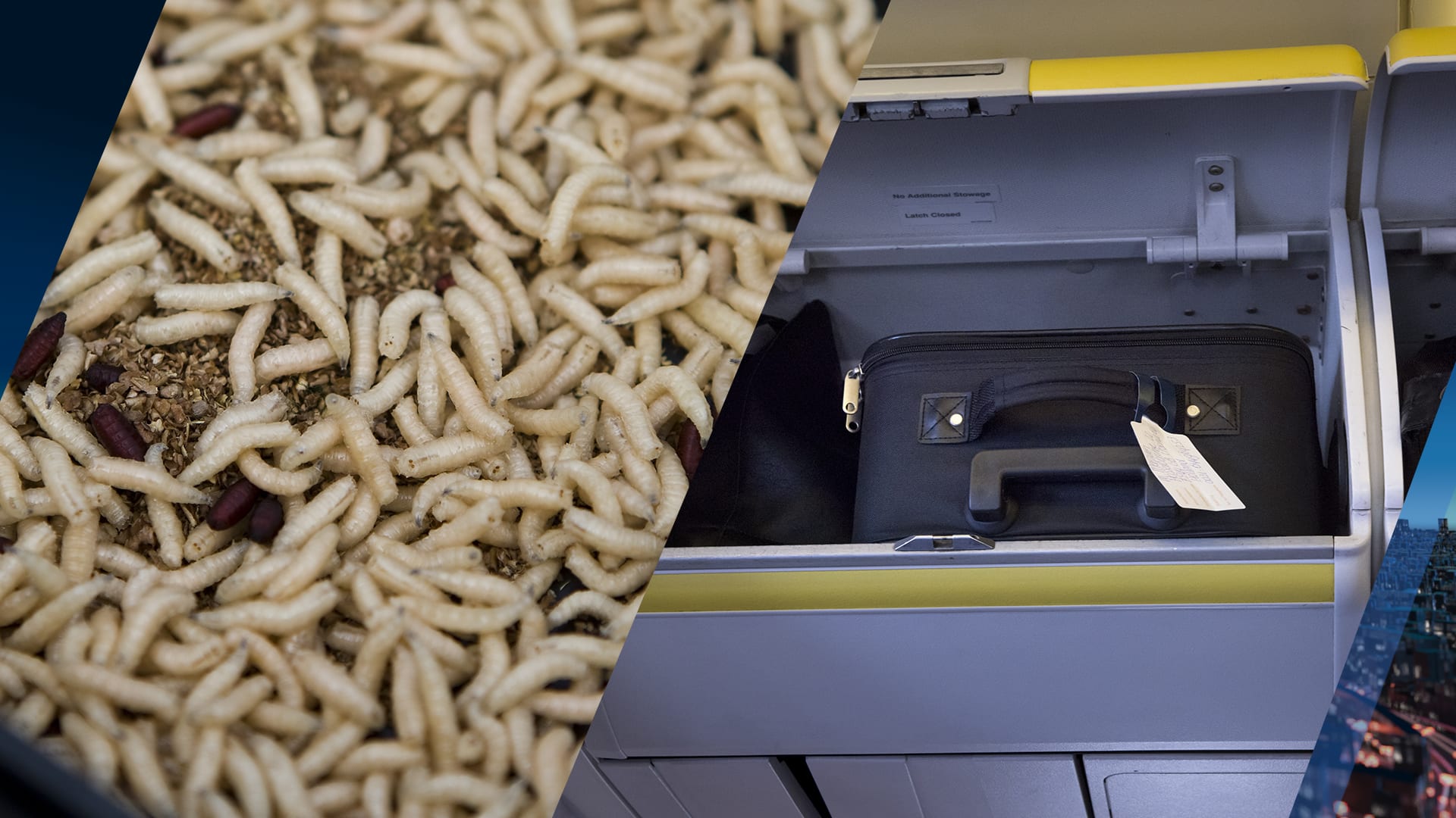 Horrorvlucht maakt rechtsomkeert: 'Maden vielen uit het bagagevak boven ons'