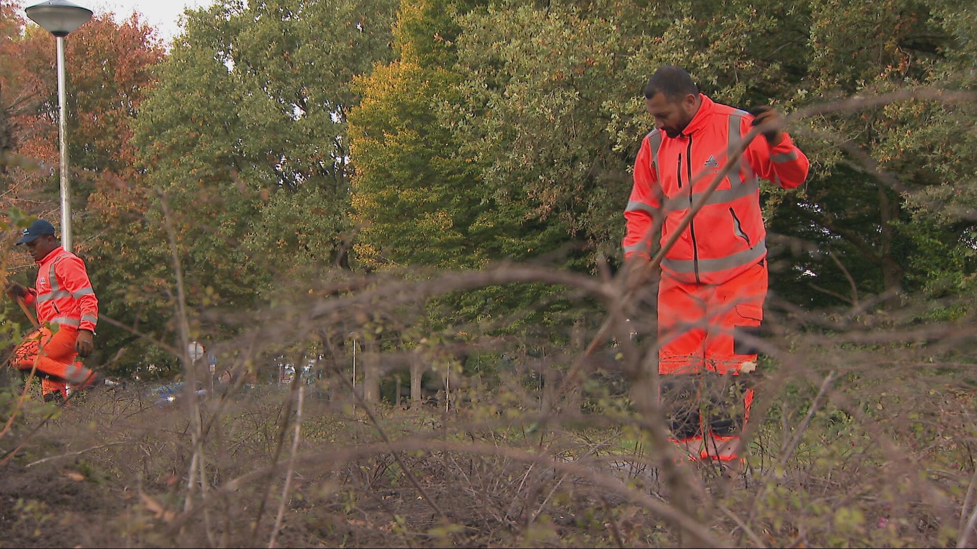 Asielzoekers worden geholpen aan baan en opleiding in Assen