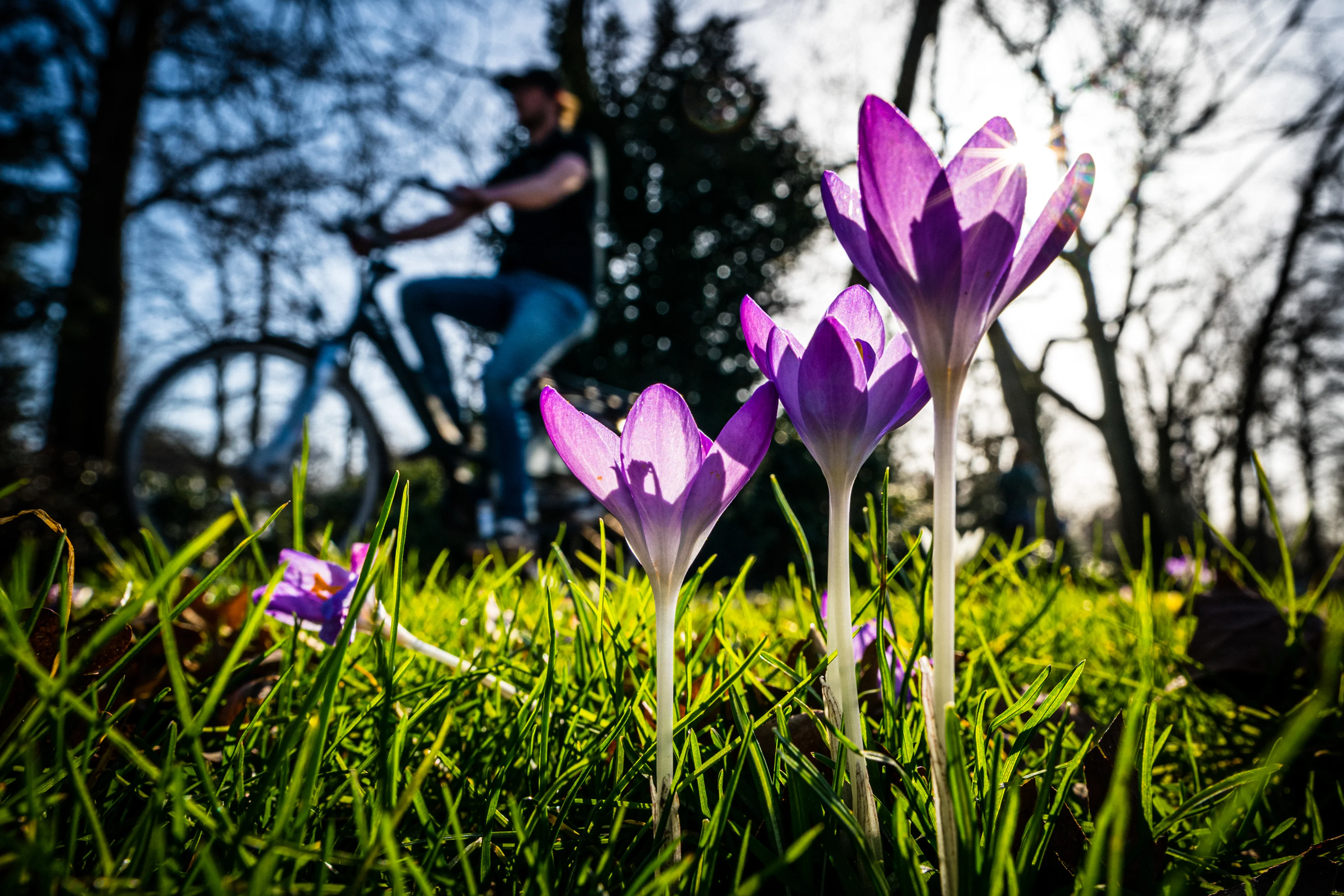 Vandaag is nog grijs en fris, maar écht lenteweer is in aantocht
