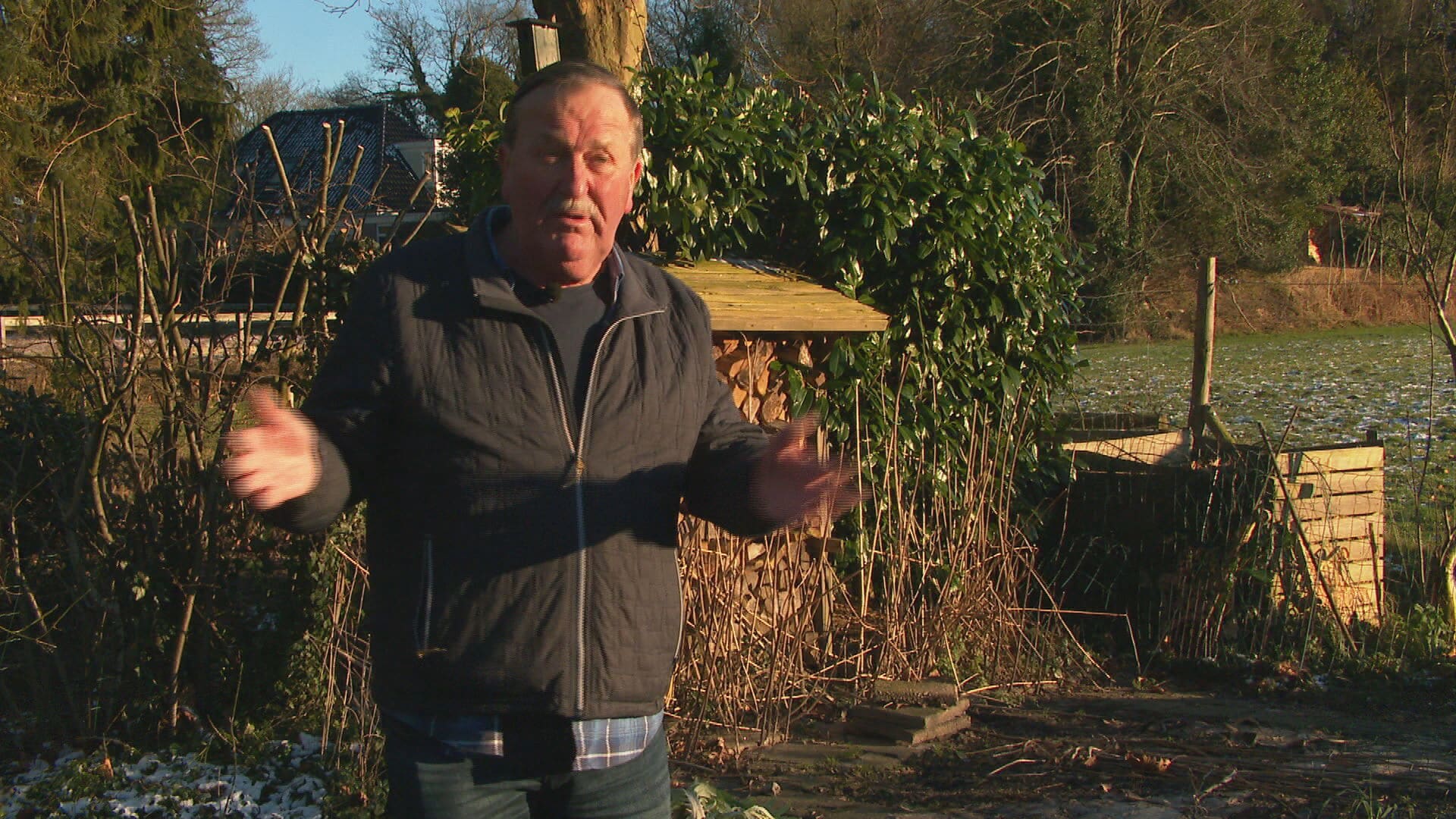 Damherten zorgen voor overlast in Oranjewoud: 'Ze vreten alles op'