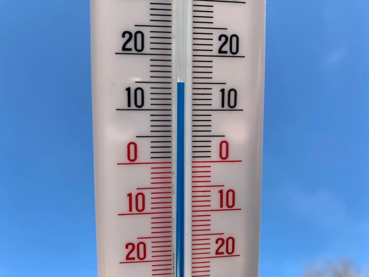 Het regent warmterecords, natuur is in de war