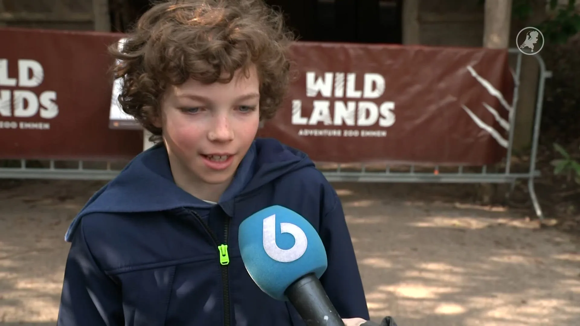 Drie kuifibissen overleden bij Wildlands Emmen, vogelverblijf afgesloten