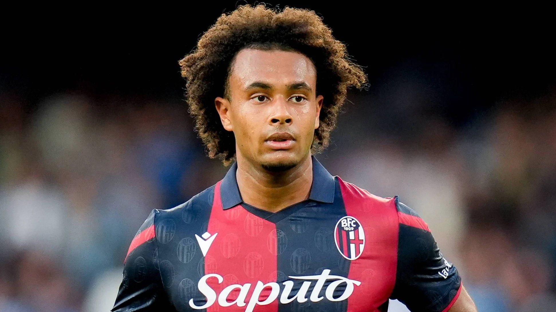 Bondscoach roept Zirkzee terug van vakantie om toch mee te doen aan EK 