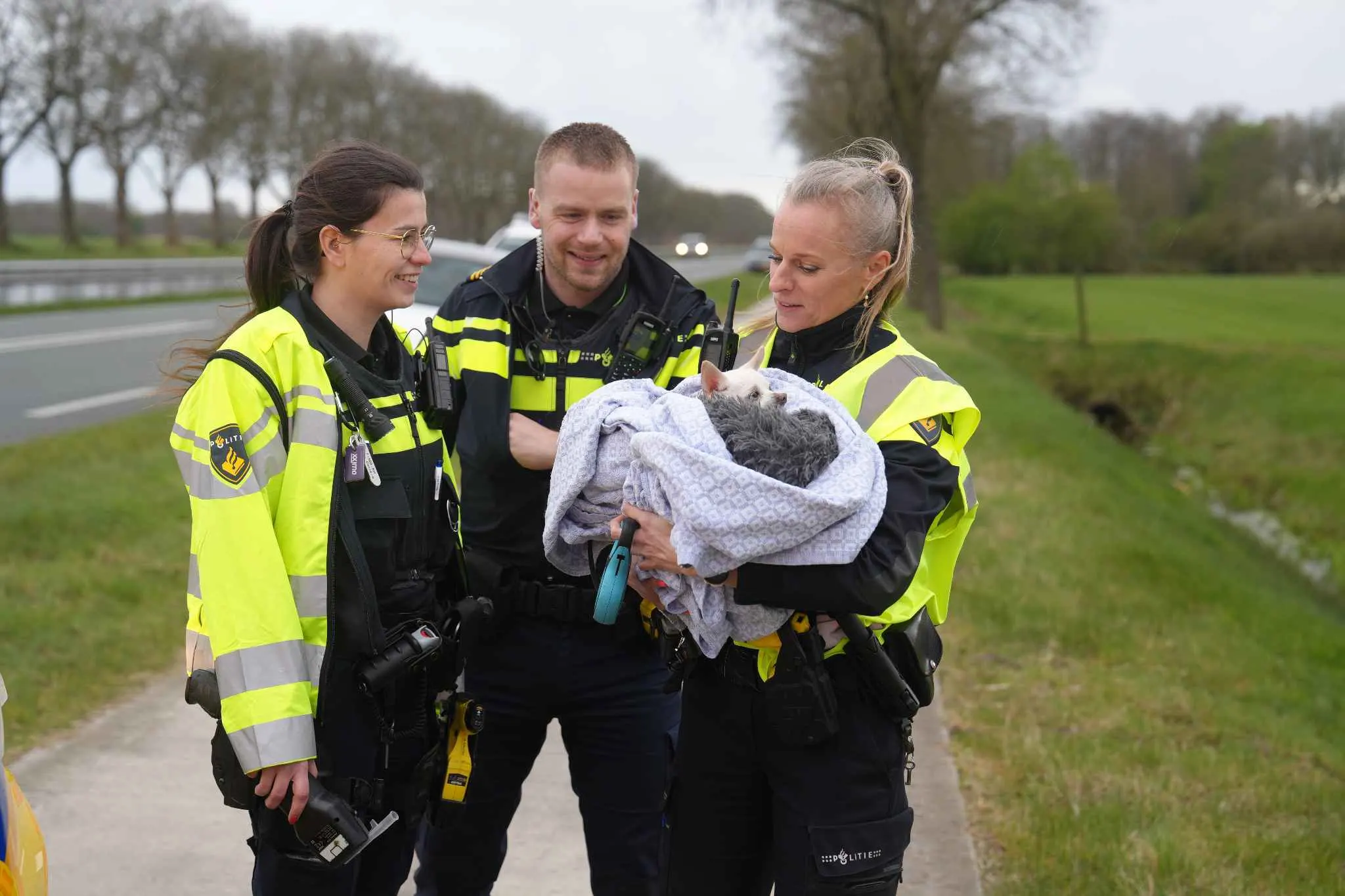 Hond en baasje uit auto in water bij Wittelte gered