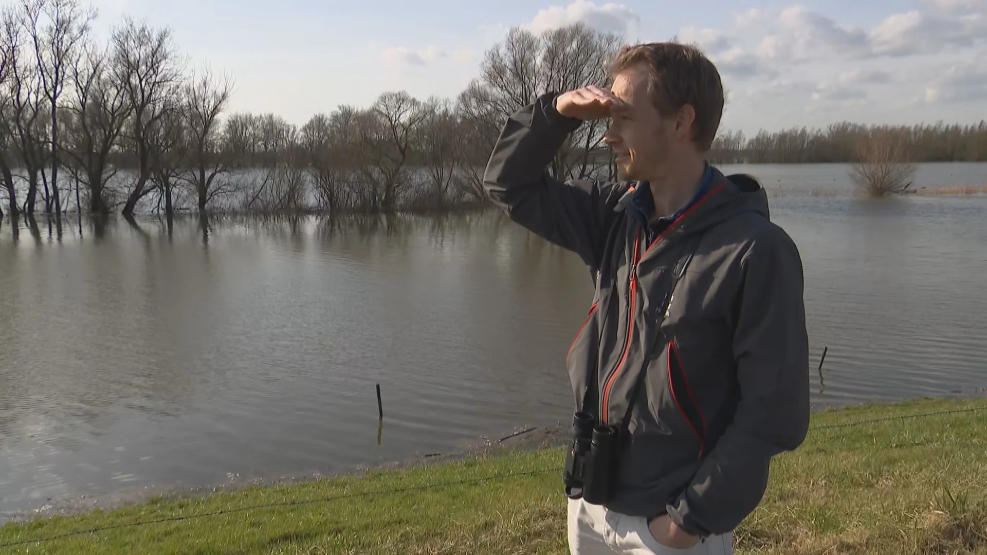 Vogels spotten maakt je slimmer: zo zit dat