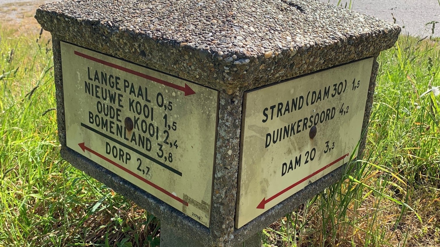 Oude wegwijspaddenstoelen Vlieland leveren tienduizenden euro's op