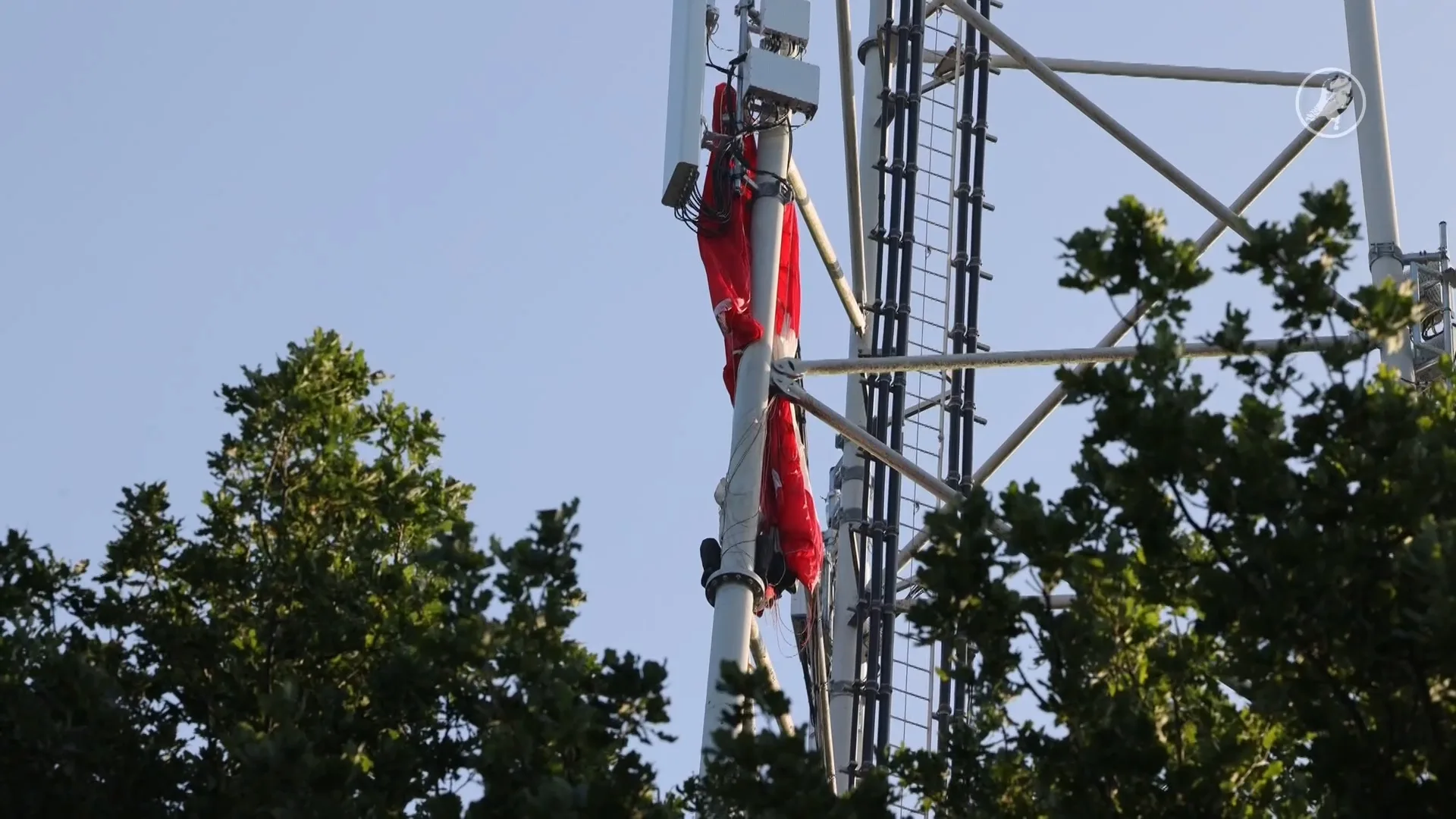 Basejumper komt vast te zitten in zendmast Oss