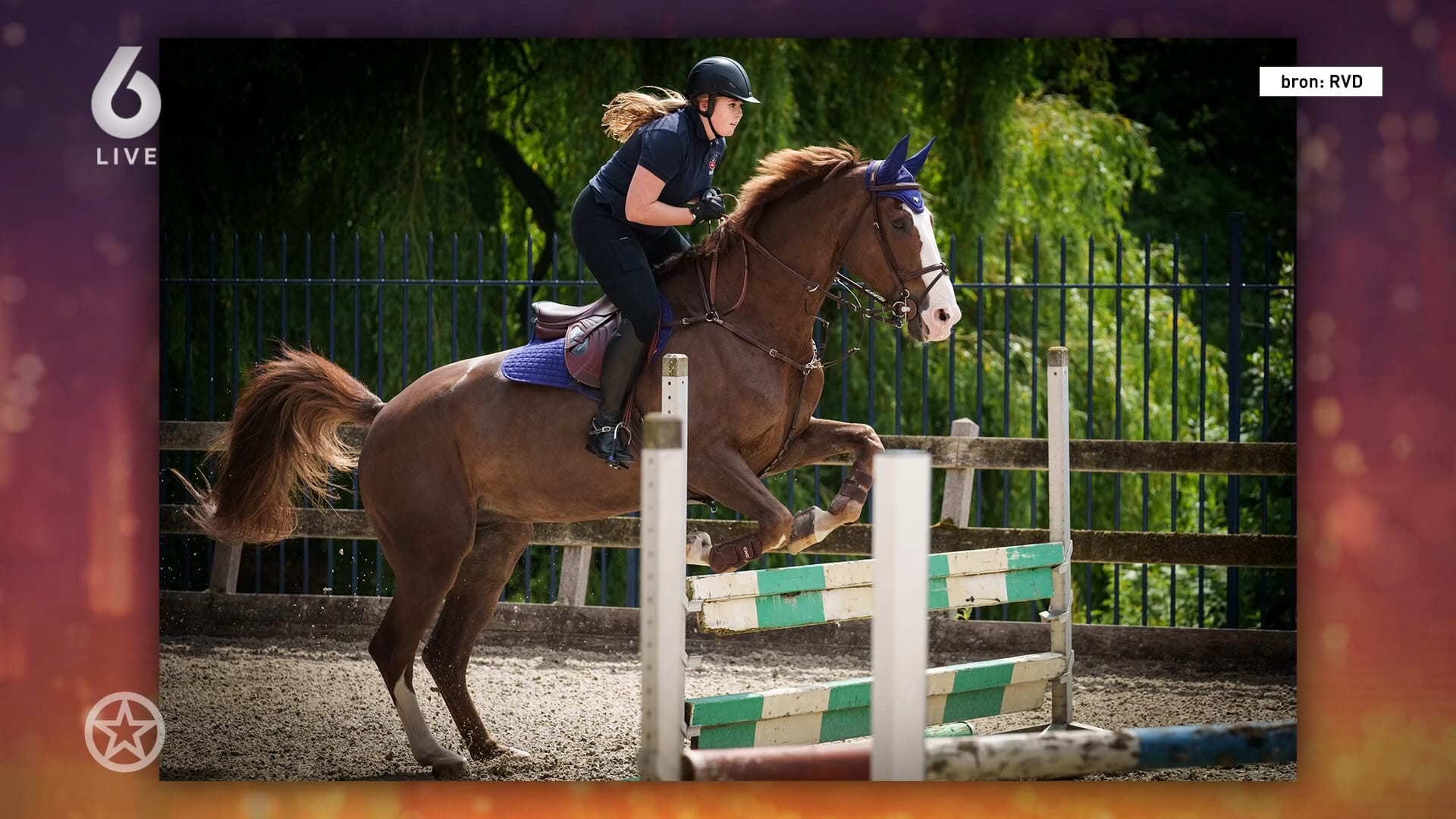 Sandra Schuurhof vertelt over gebroken arm prinses Amalia