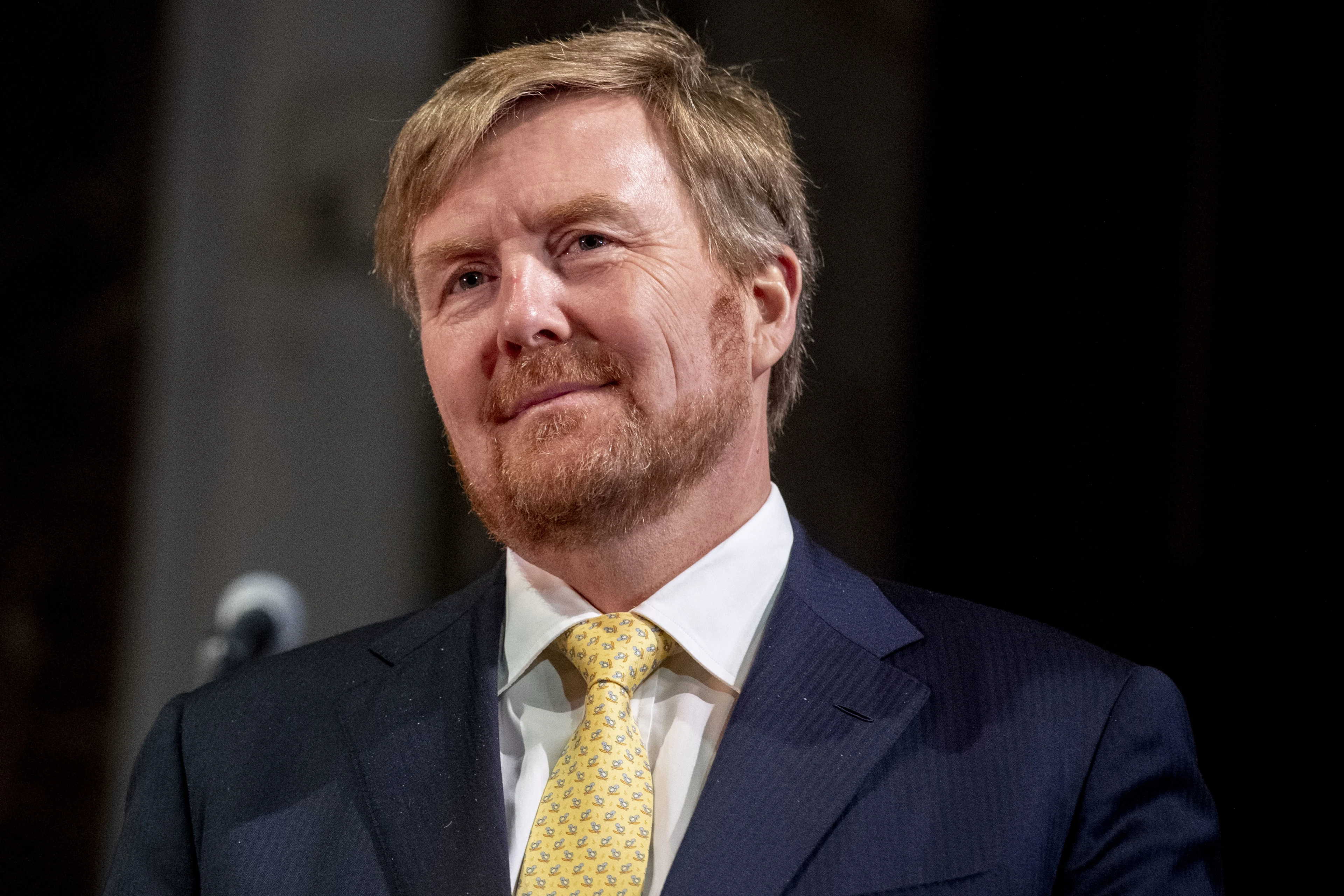 Ruim een kwart van de Nederlanders vond de speech van de koning goed