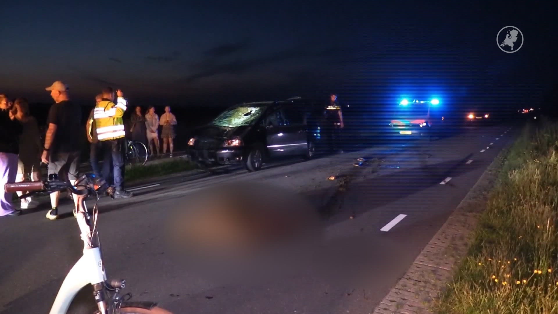 Paard overleden na aanrijding in De Cocksdorp